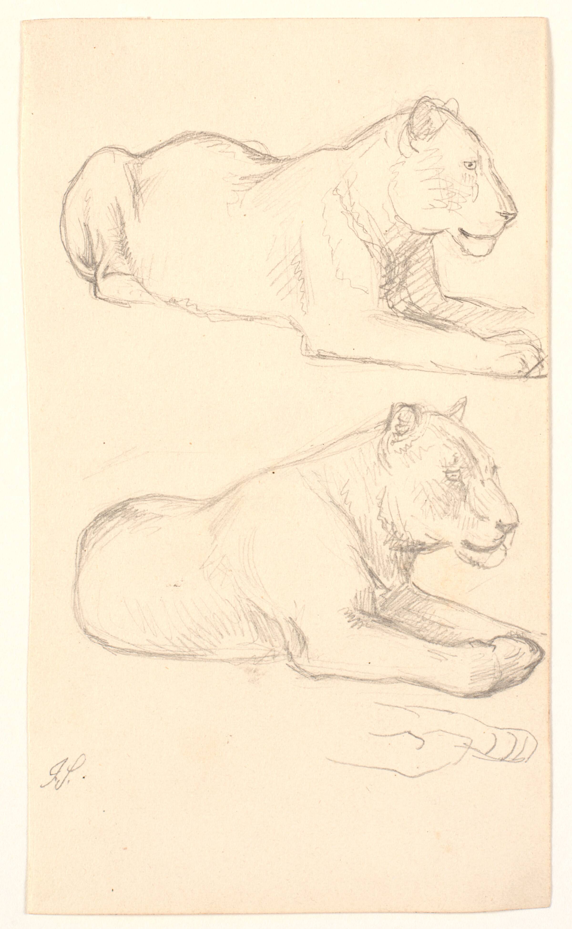 To studier af liggende løvinde, Joakim Skovgaard, 1856-1933