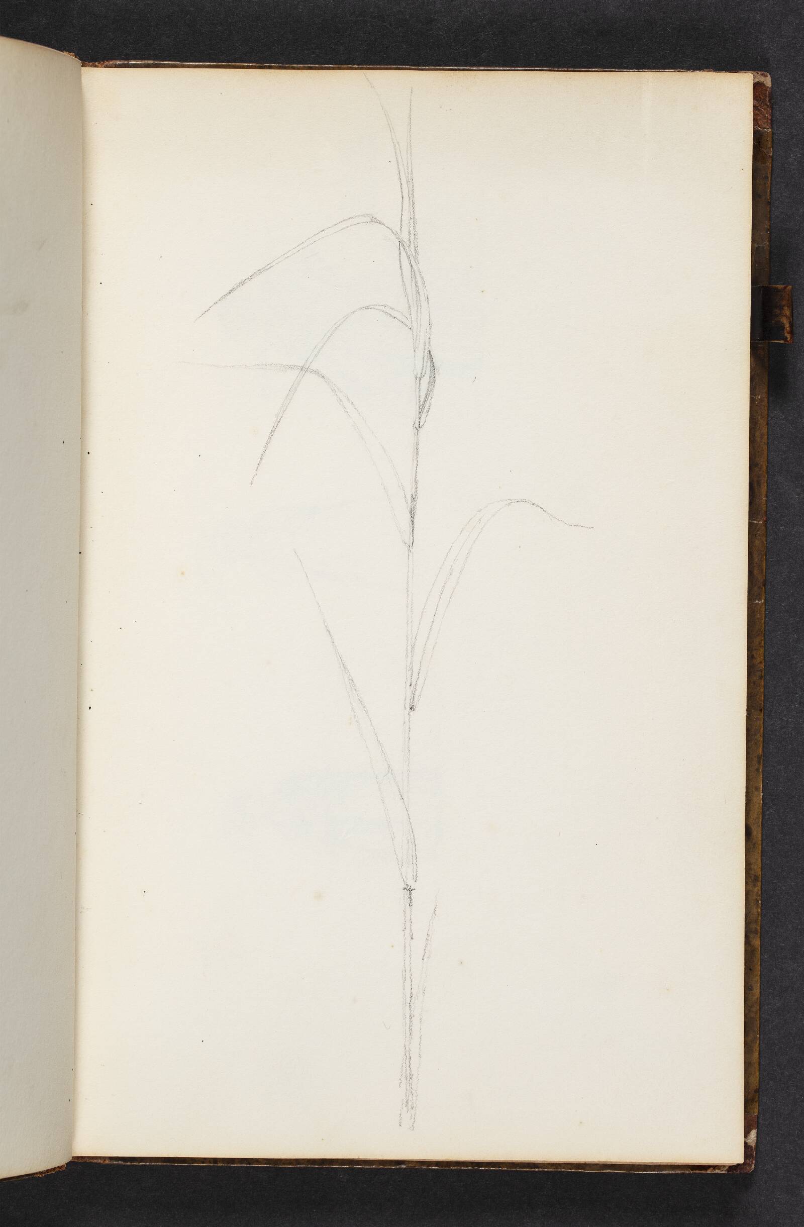 Et siv, Christen Købke, 1822-1848
