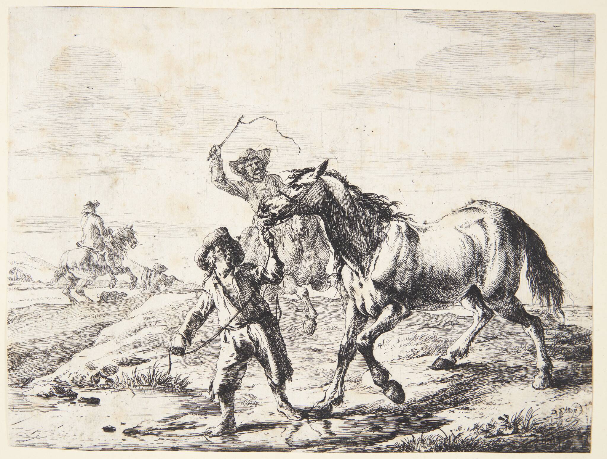 En dreng leder en hest til vandet