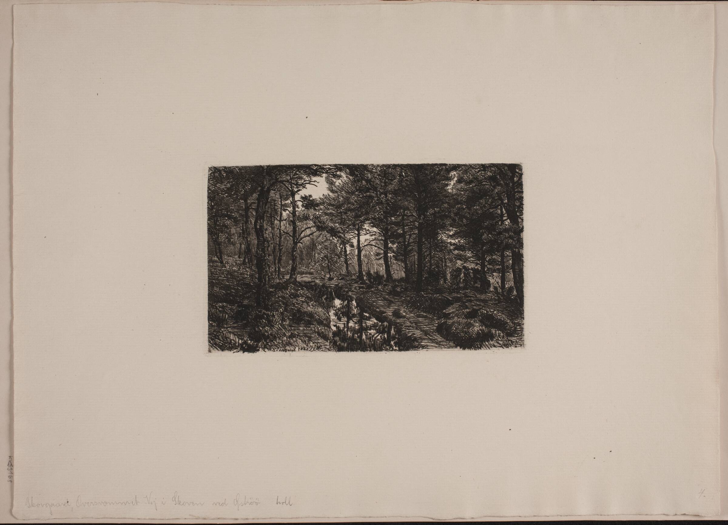 Oversvømmet vej i skoven ved Øströö, Niels Skovgaard, 1885