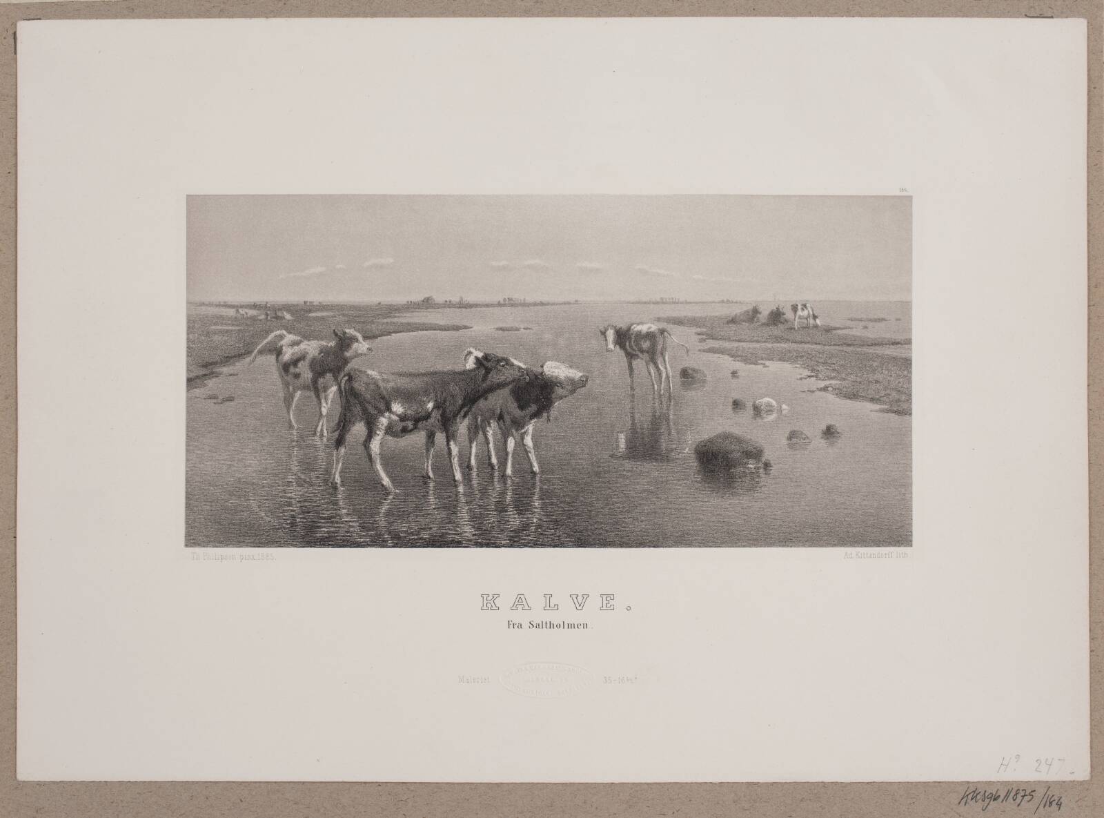 Kalve, Adolph Kittendorff, 1880-1889