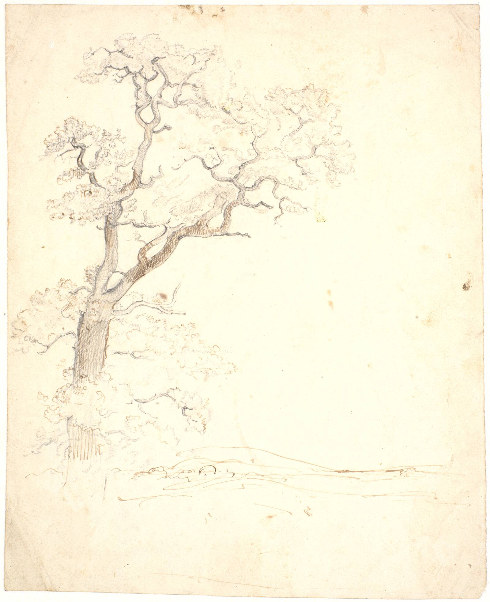 Træstudie og landskabsrids, Dankvart Dreyer, 1837-1839
