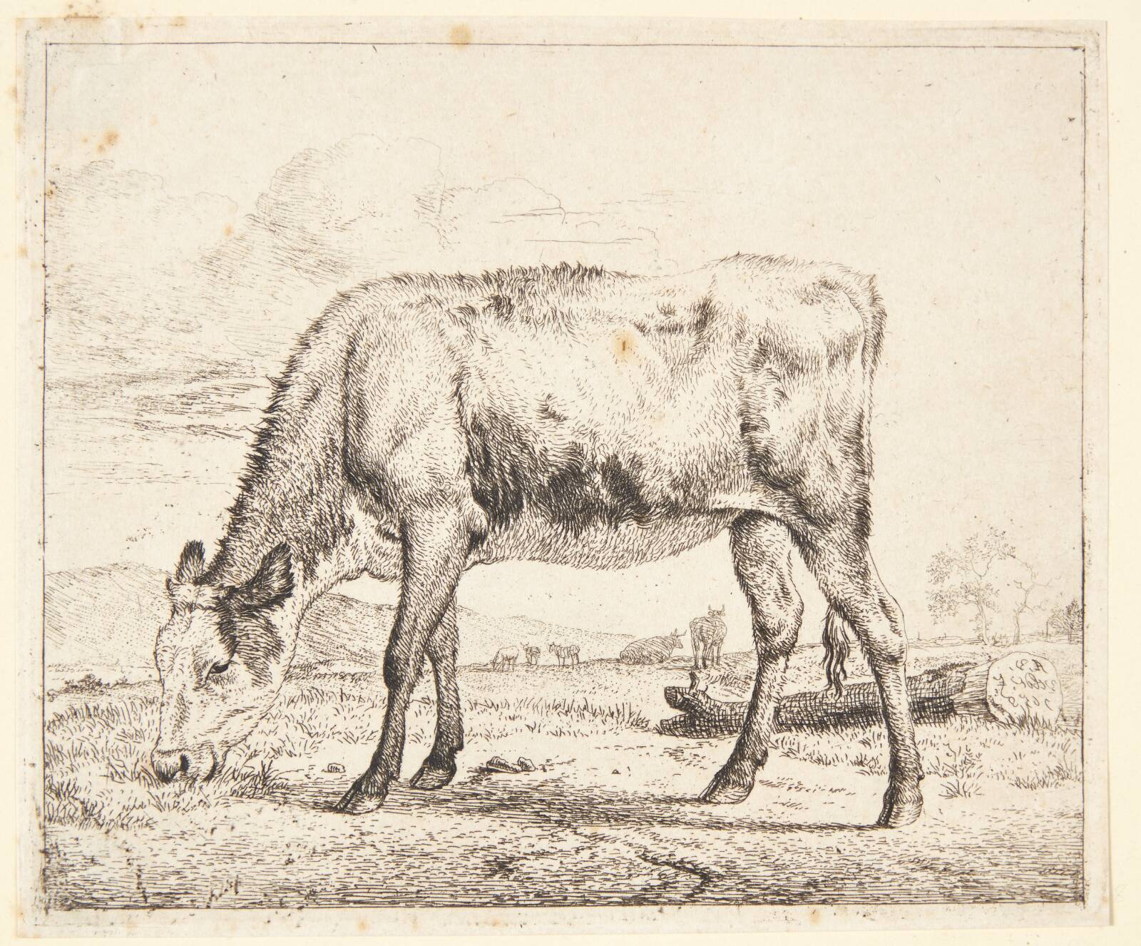 Græssende kalv, Adriaen van de Velde, 1658