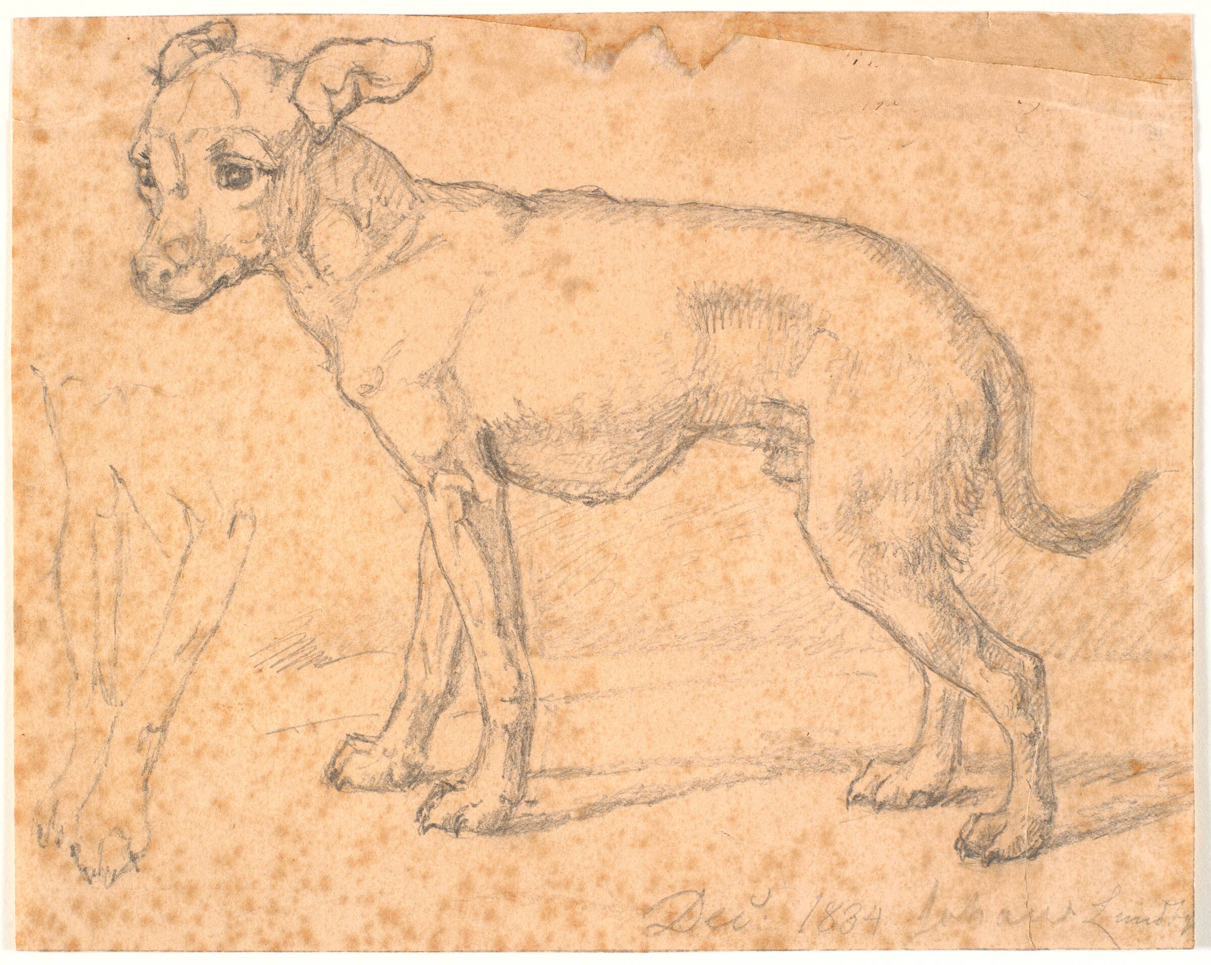 Stående hund, Johan Thomas Lundbye, 1834