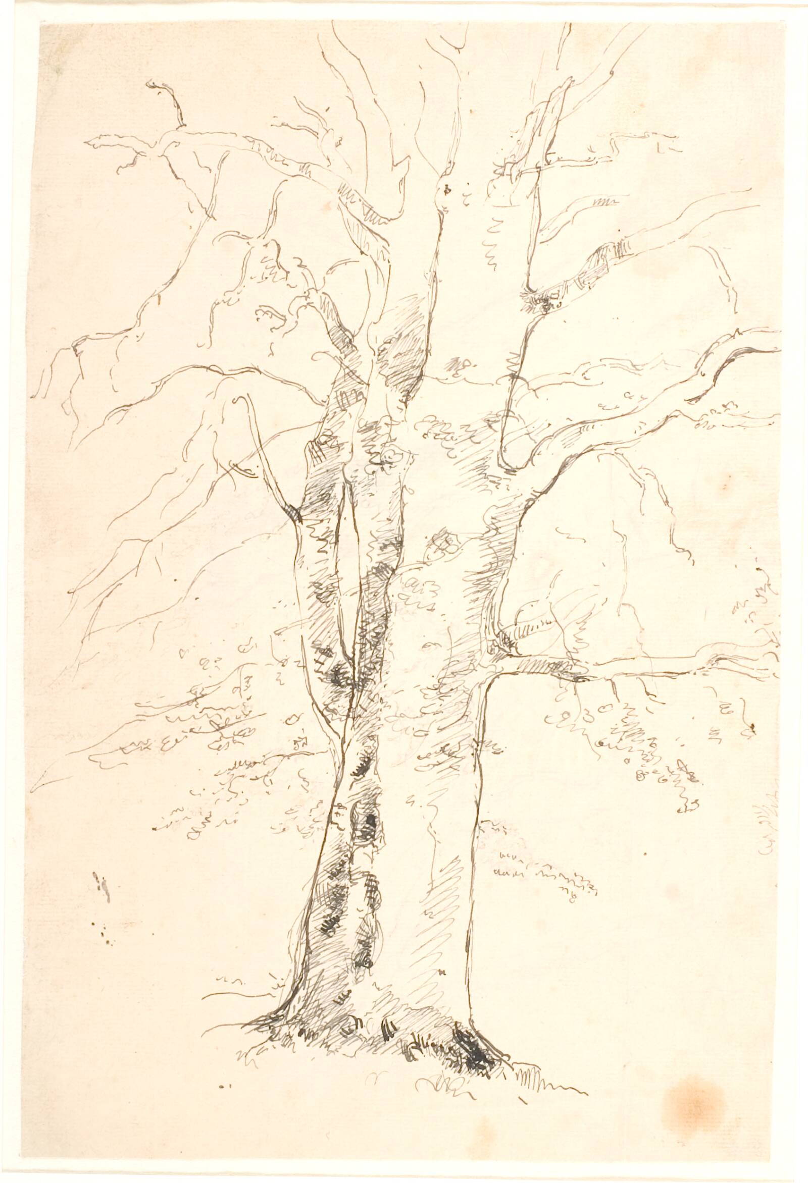 En bøgestamme, Dankvart Dreyer, 1844-1846