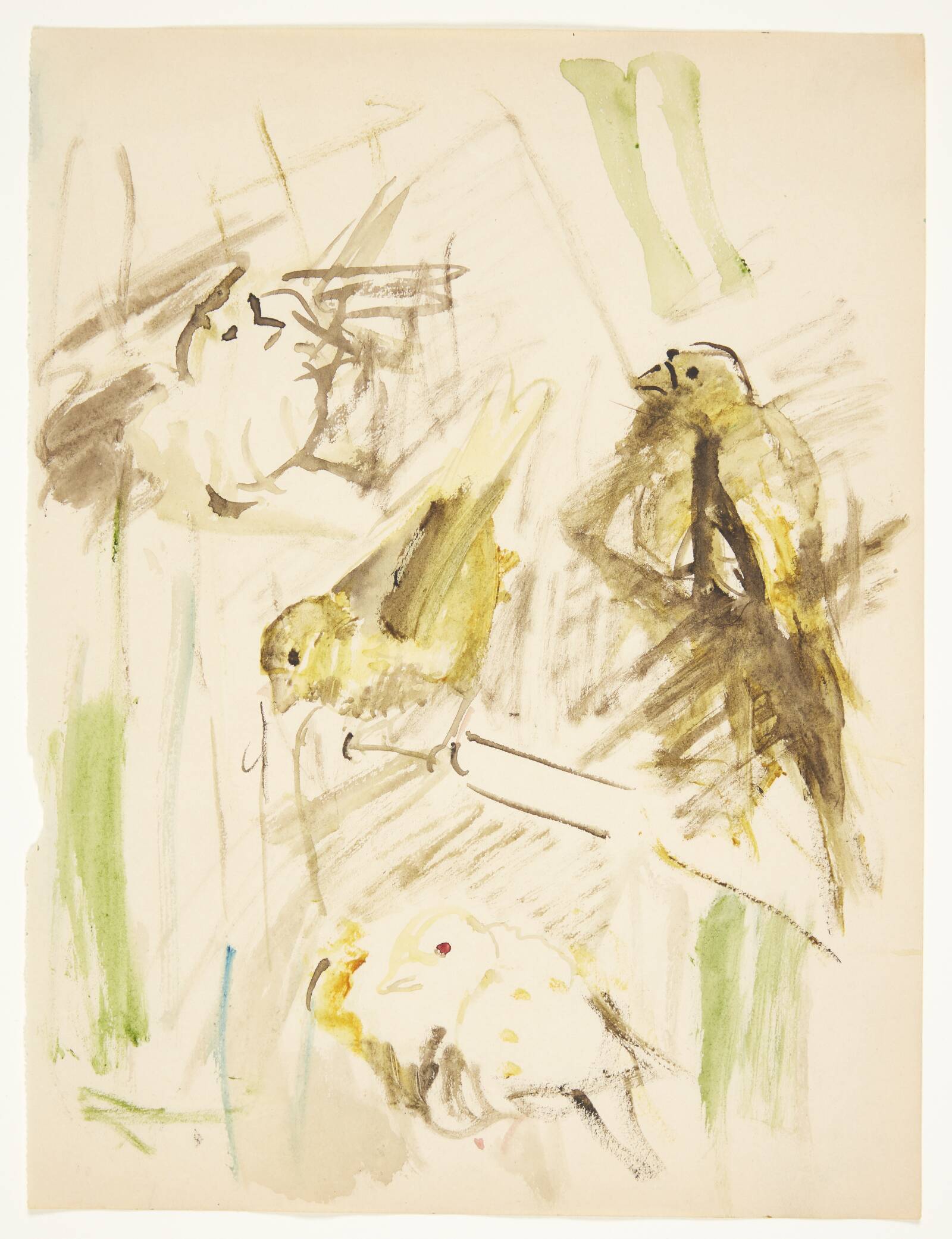 Fire kanariefugle, Ebba Carstensen, 1900-1967