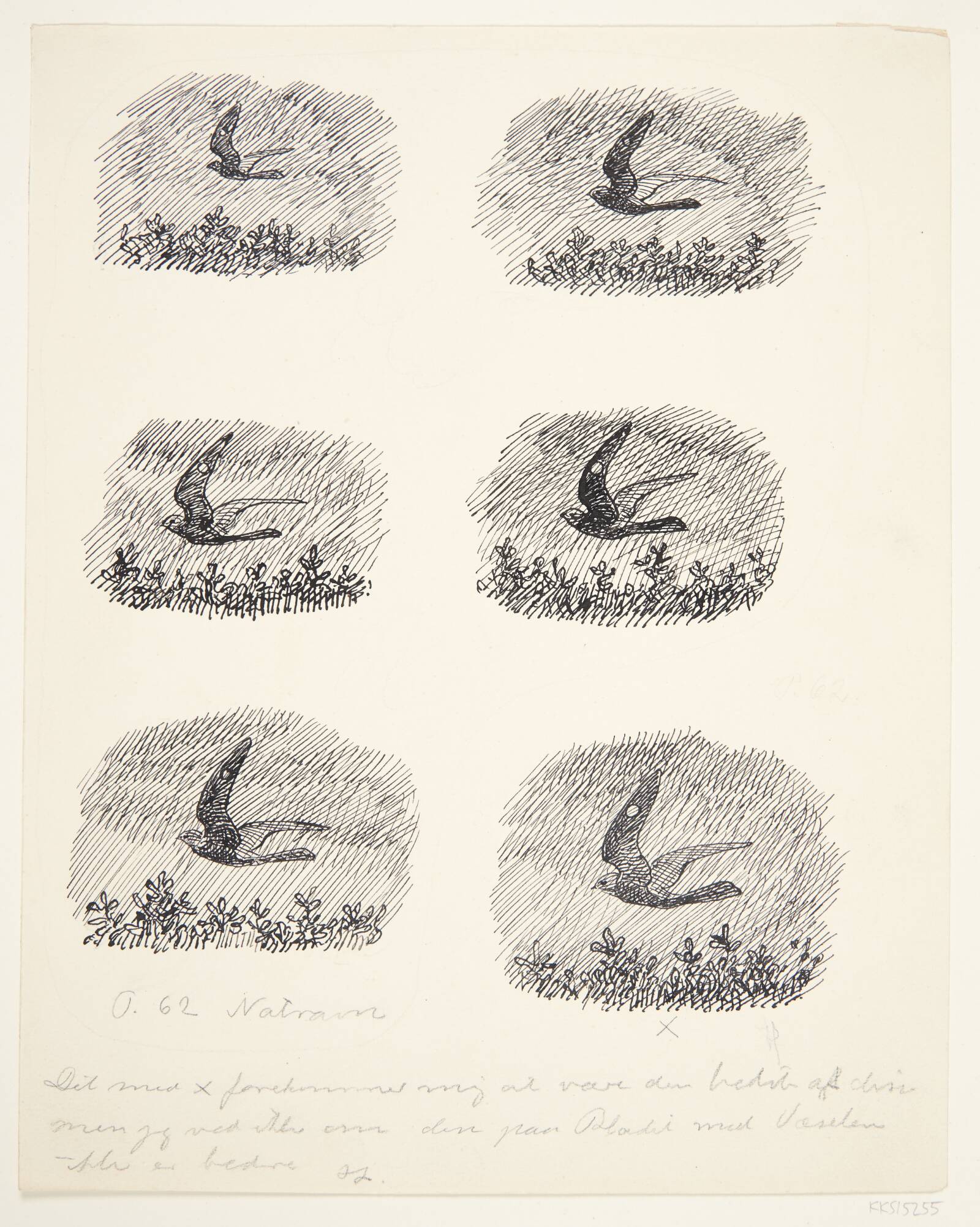 Natravne, Johannes Larsen, 1927
