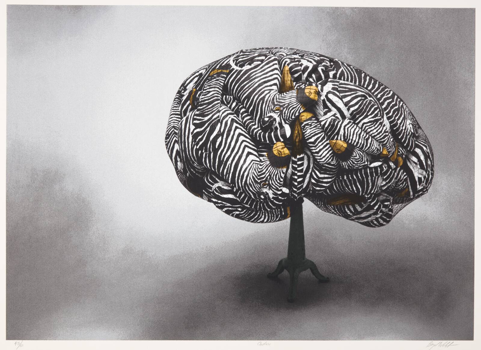 "Cortex", Boyd Webb, 1990