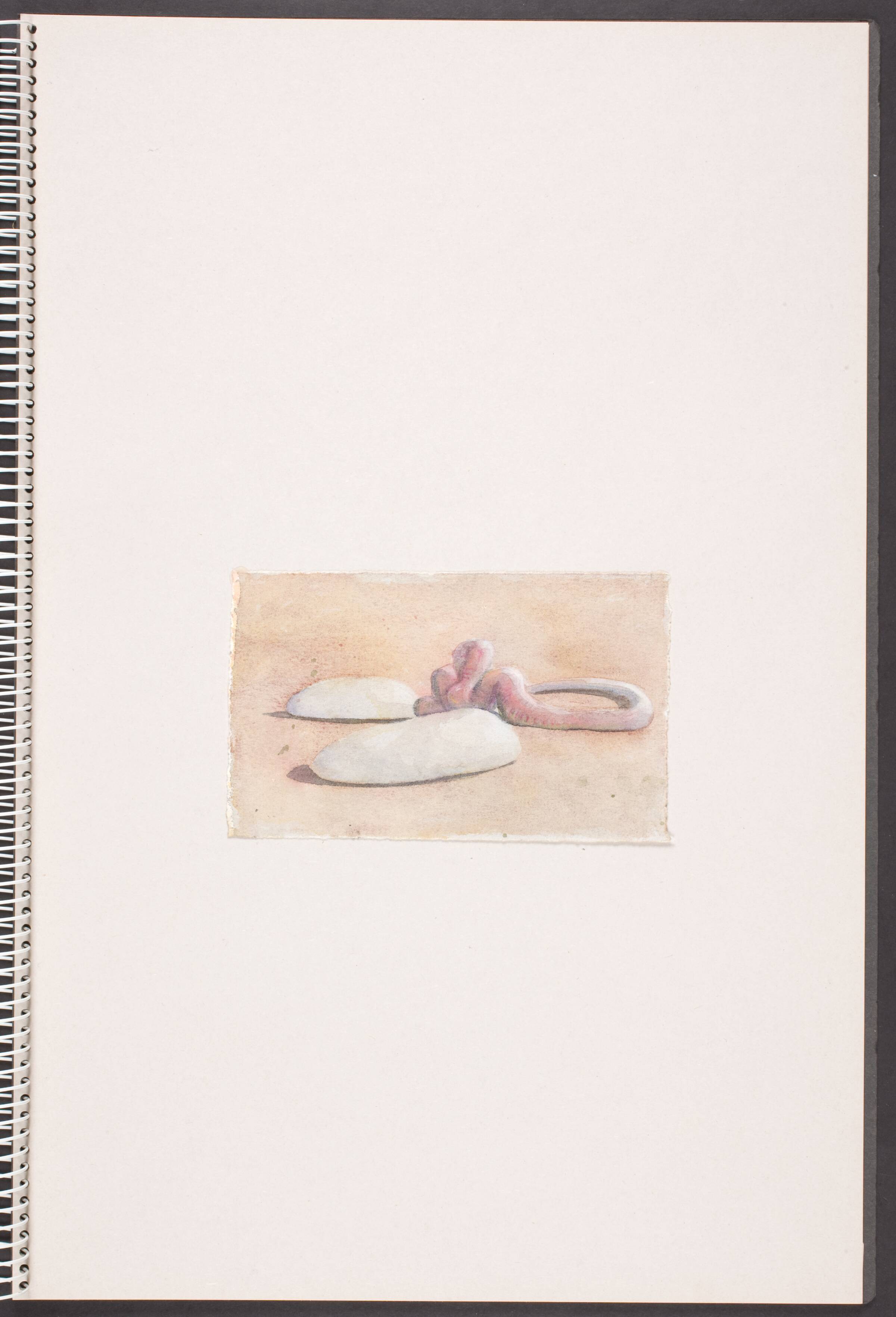Liggende, amorfe, indvoldslignede former, Michael Kvium, 1991-1993