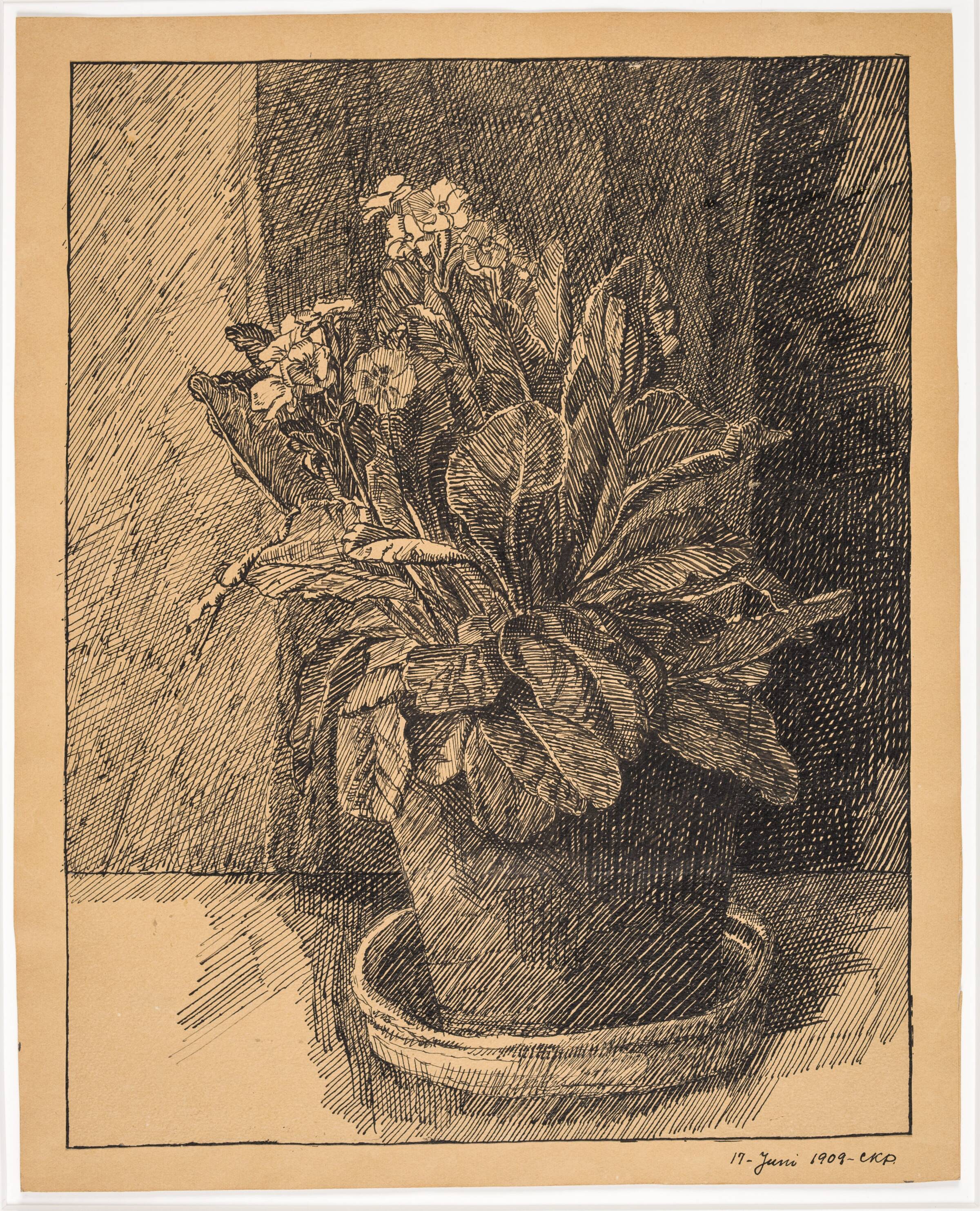 Urtepotte med primula, Christian Kongstad Petersen, 1909
