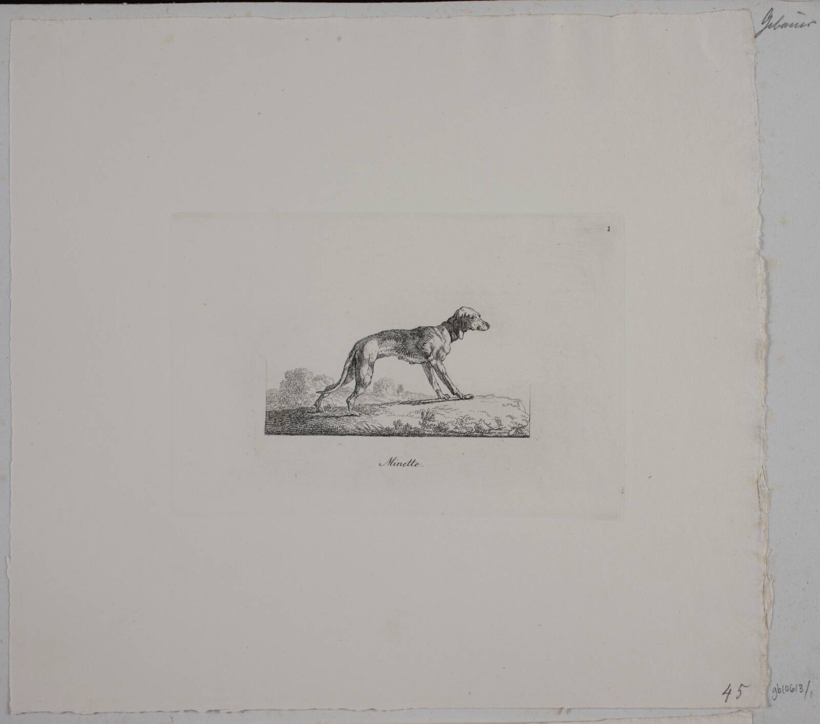 Minette, Христиан Давид Гебауэр, 1821