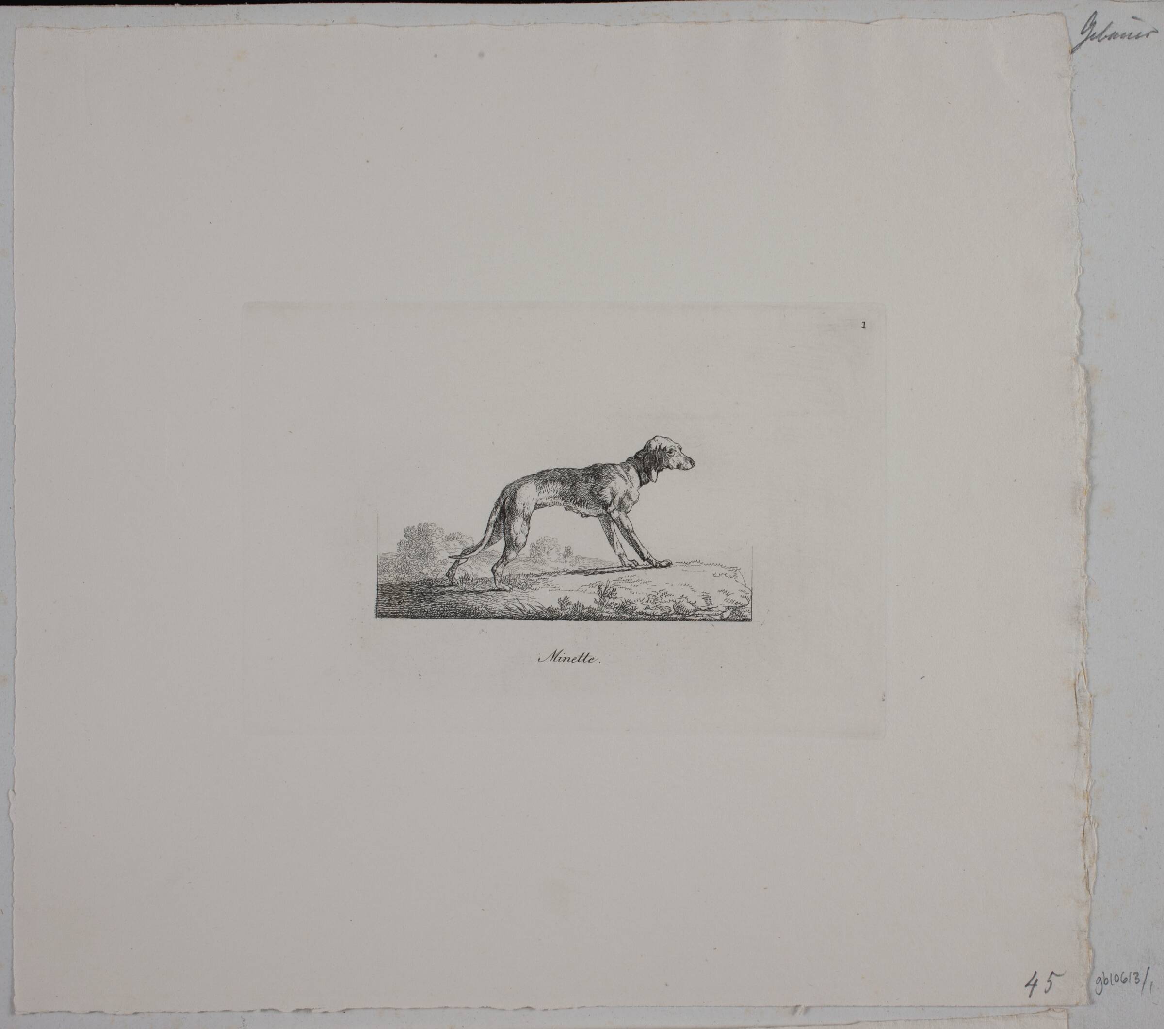 Minette, Christian David Gebauer, 1821
