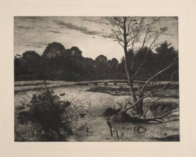 Solnedgang i en skov