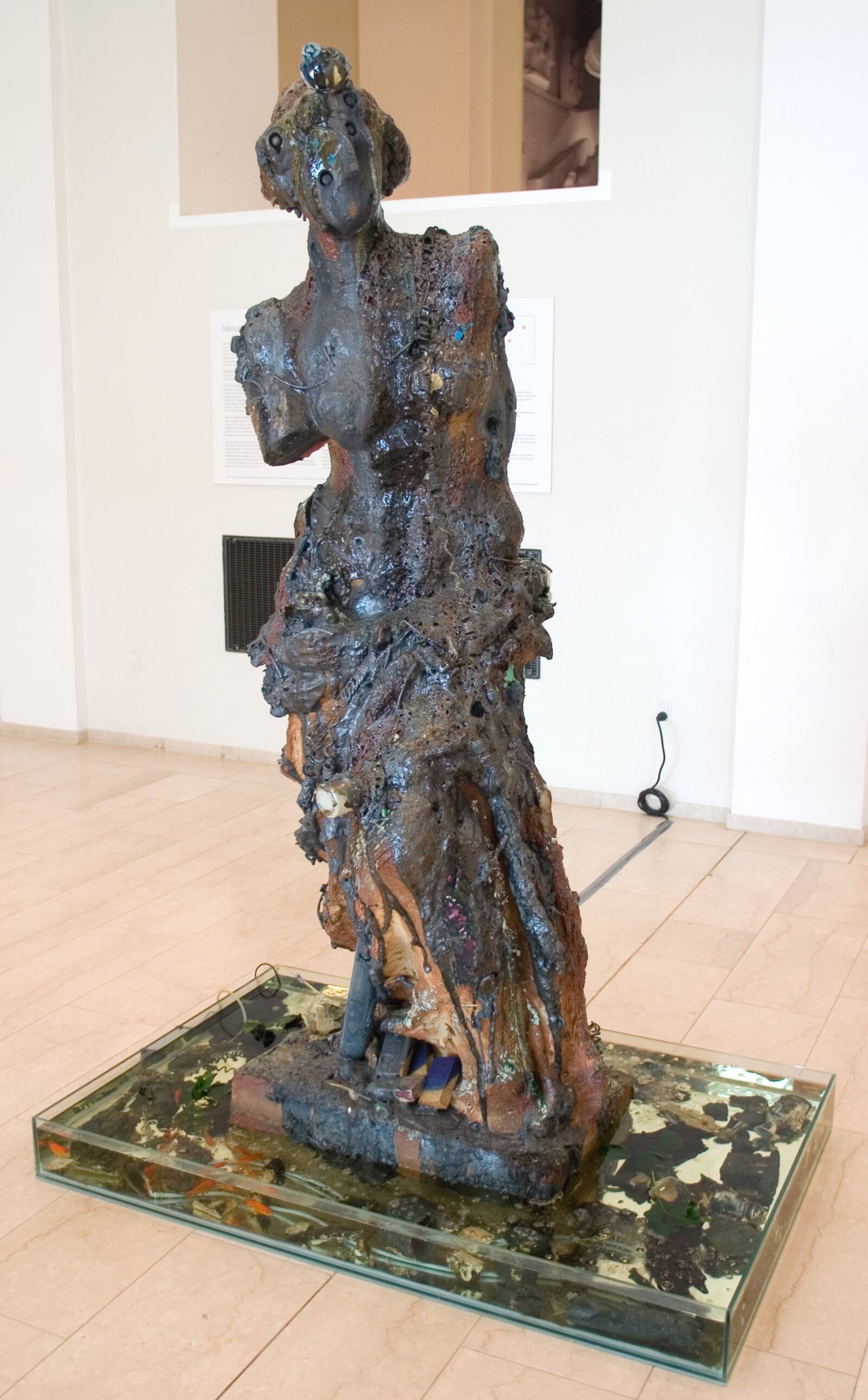 Brændt Venus, Bjørn Nørgaard, 2005