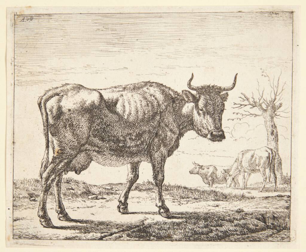 Tre køer, Adriaen van de Velde, 1636-1672