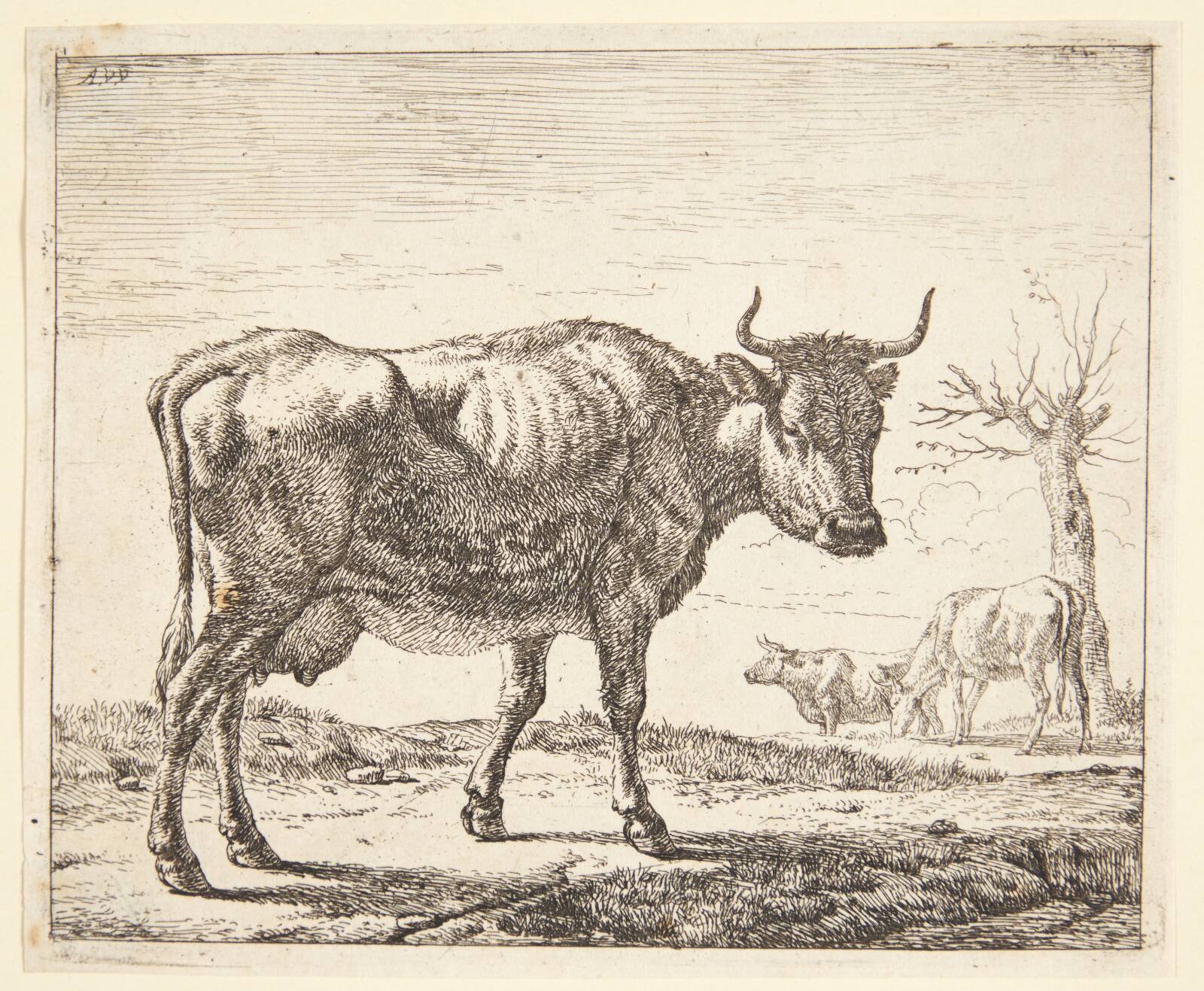 Tre køer, Adriaen van de Velde, 1636-1672