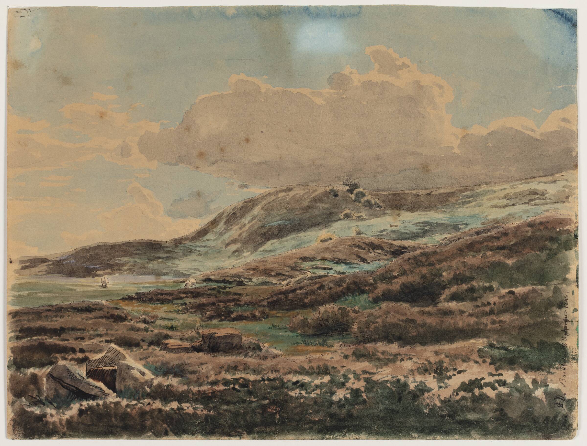 Landskab med lyngklædte bakker, Carlo Dalgas, 1848