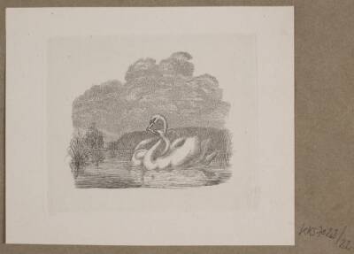 Illustration til O. Specter, "Fabler for Børn"