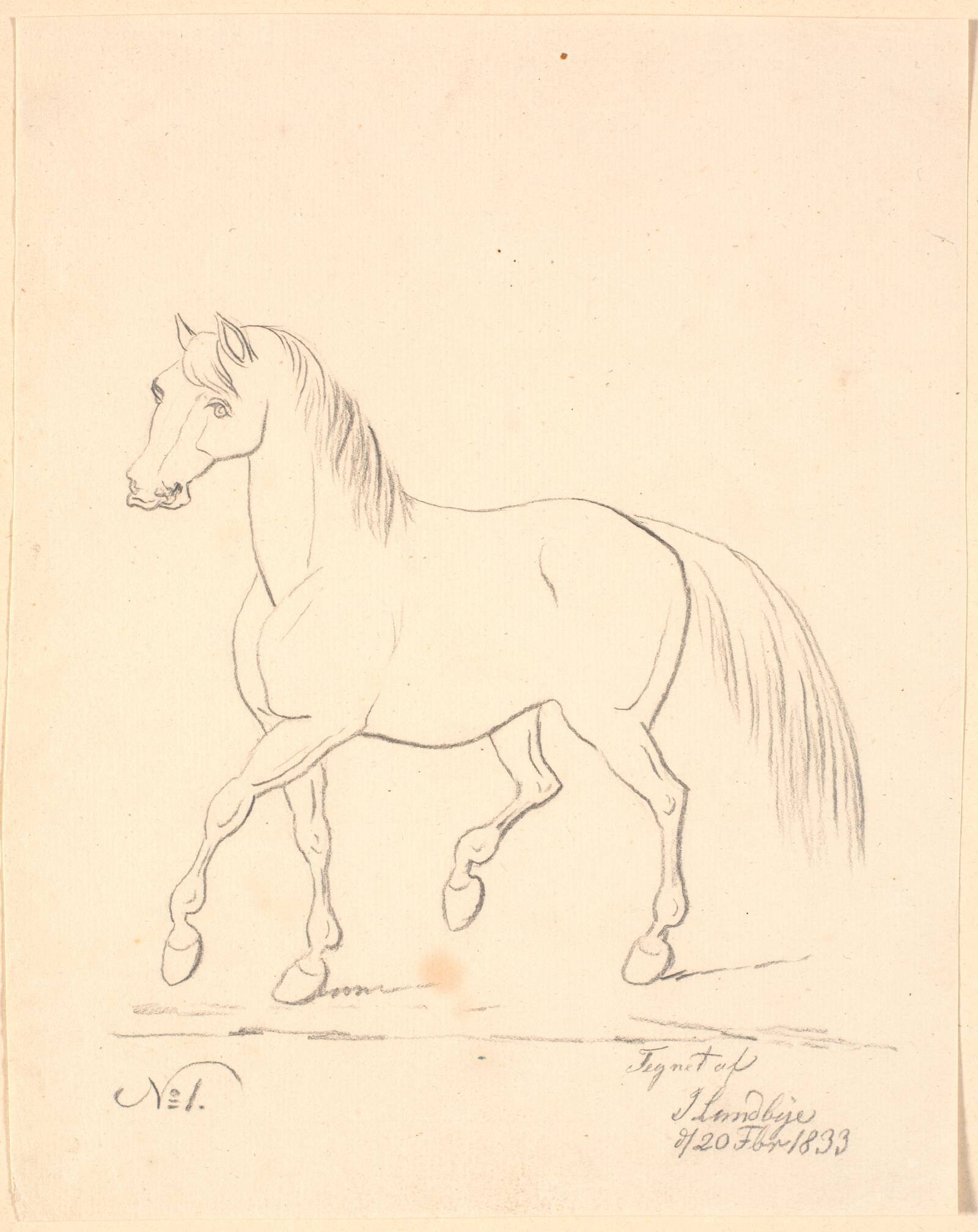Travende hest, vendt mod venstre, Johan Thomas Lundbye, 1833