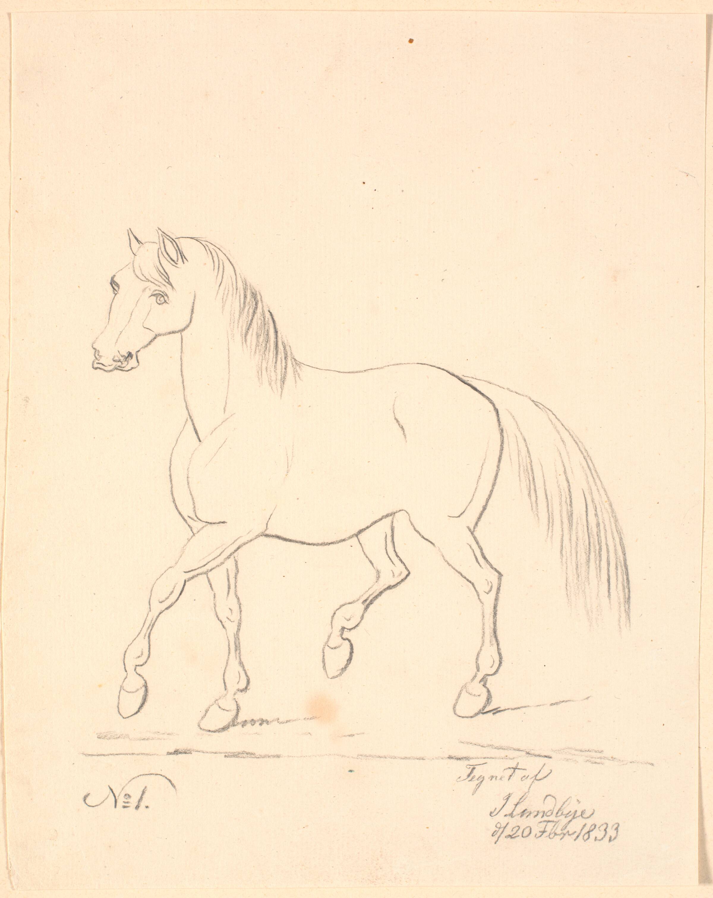 Travende hest, vendt mod venstre, Johan Thomas Lundbye, 1833