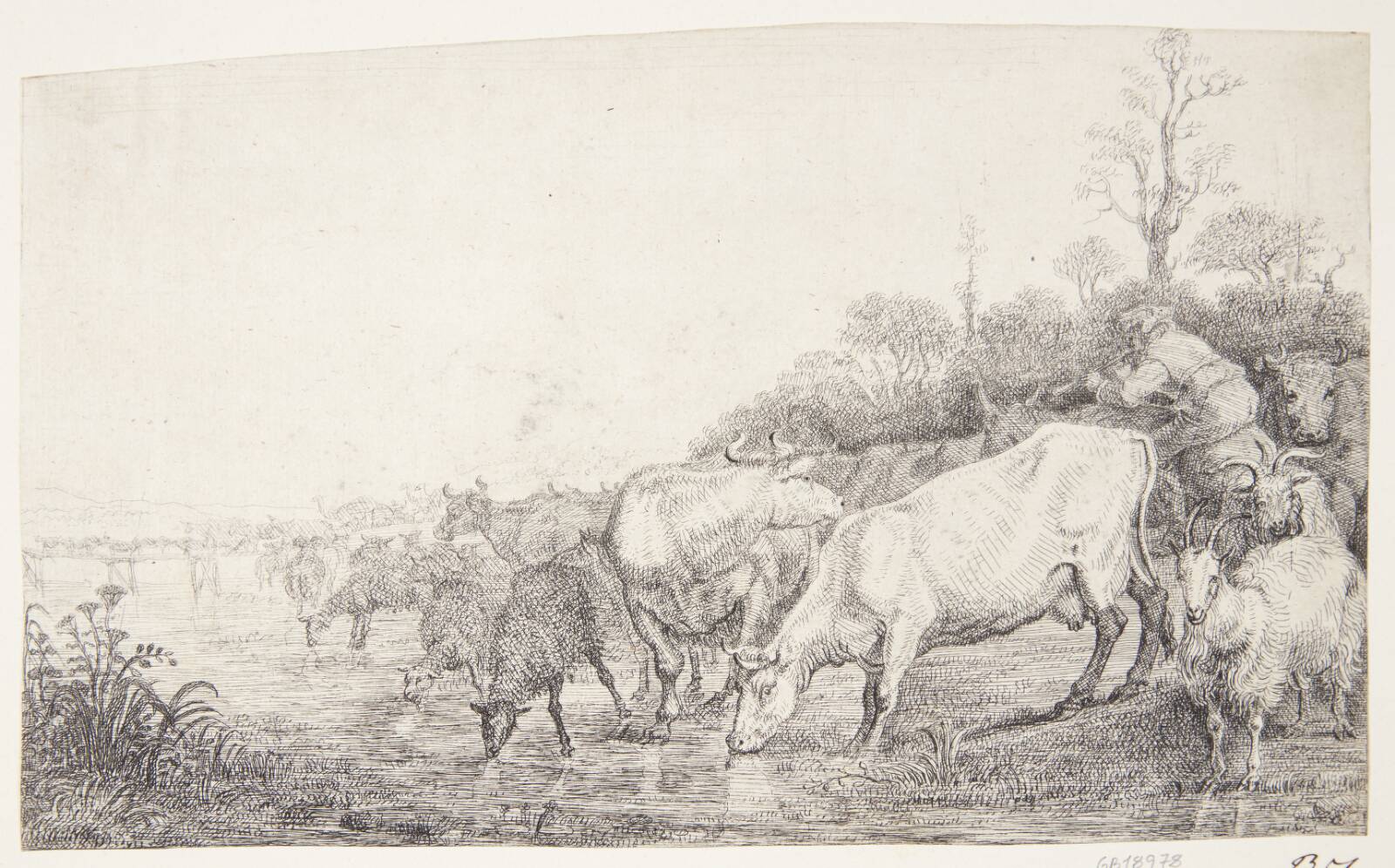 Drikkende kvæg, Gerrit Claesz. Bleker, 1592-1656