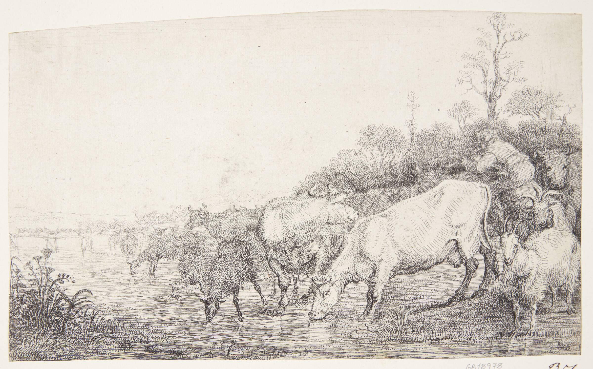 Drikkende kvæg, Gerrit Claesz. Bleker, 1592-1656