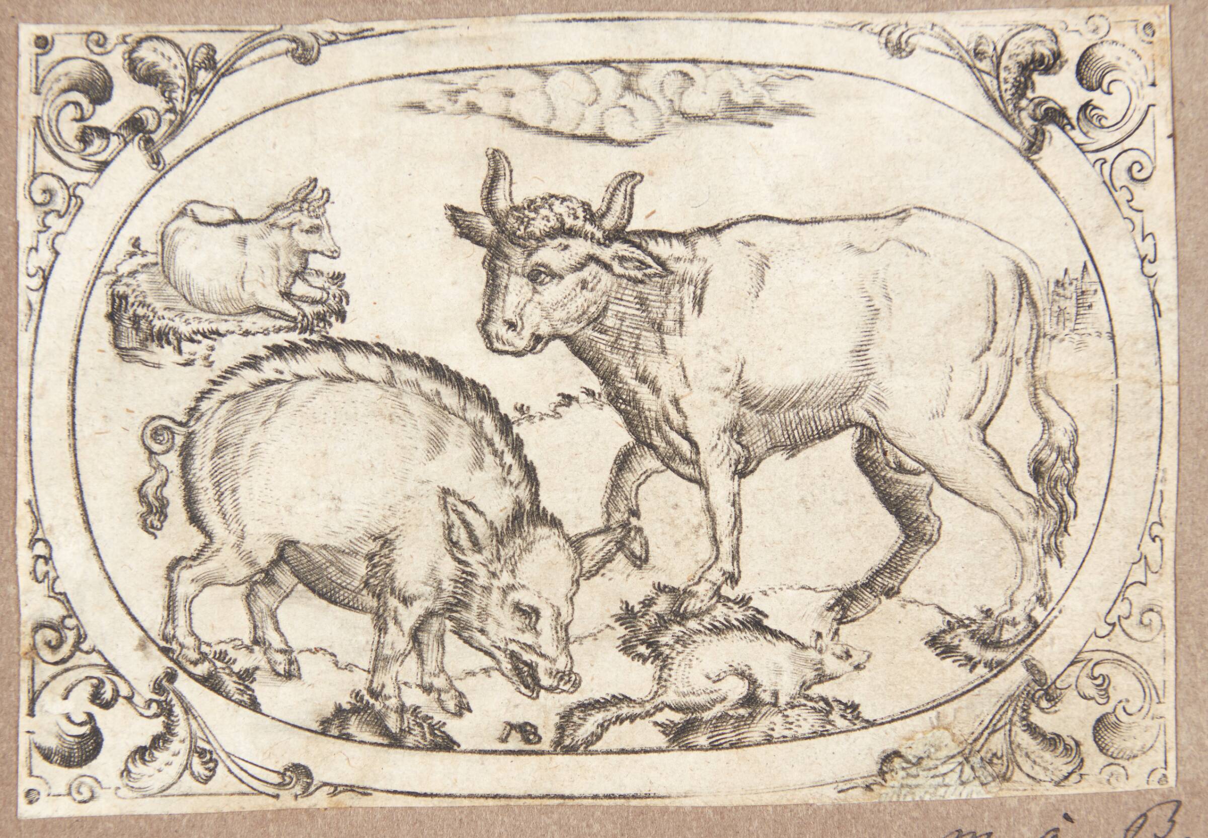 Et vildsvin og en tyr, samt en liggende ko, Mathias Beytler, 1581-1583