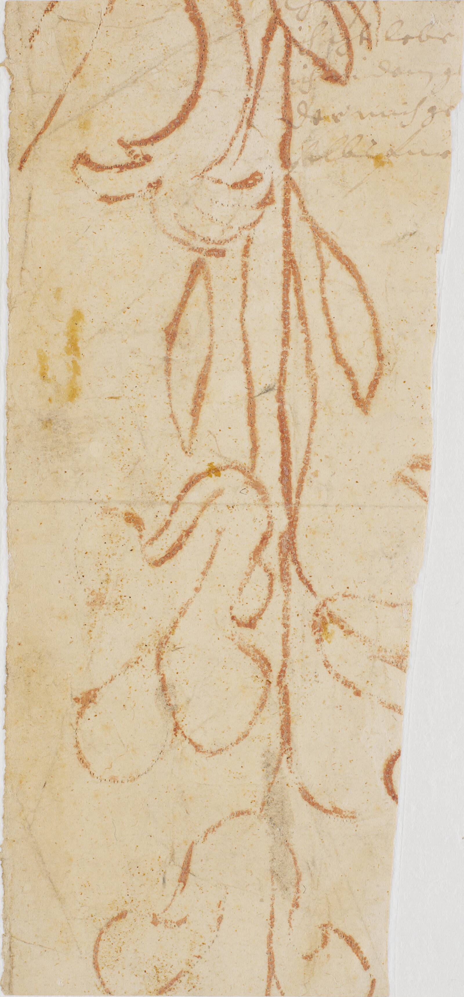 Planteornament (fragment), Ubekendt, 1650-1699