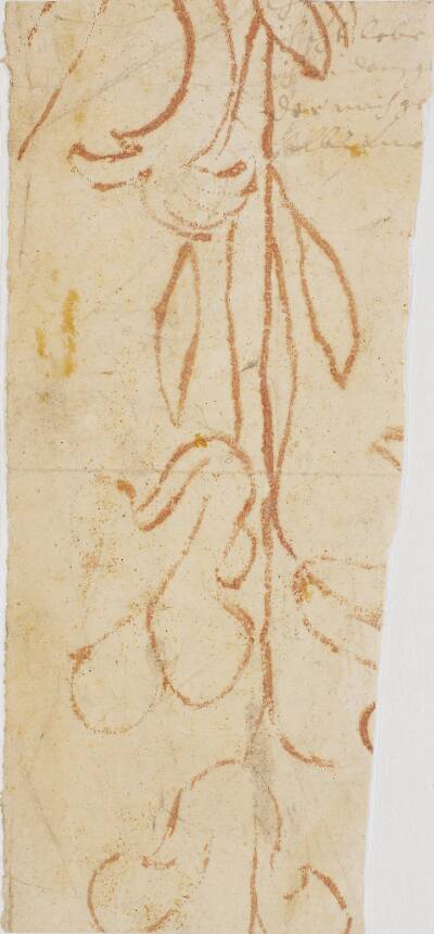 Planteornament (fragment)
