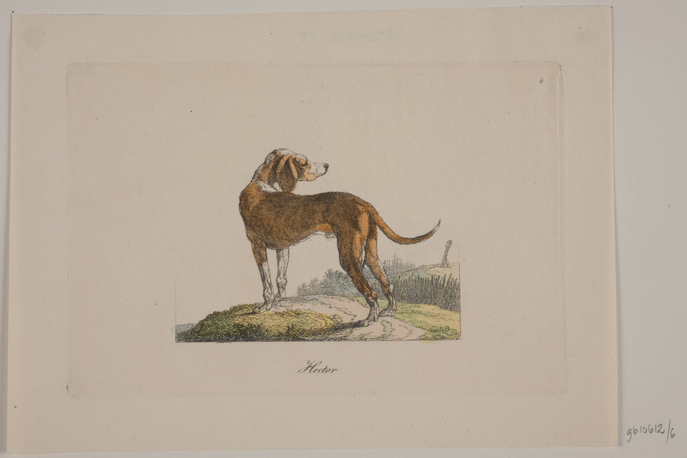 Hector, Christian David Gebauer, 1821