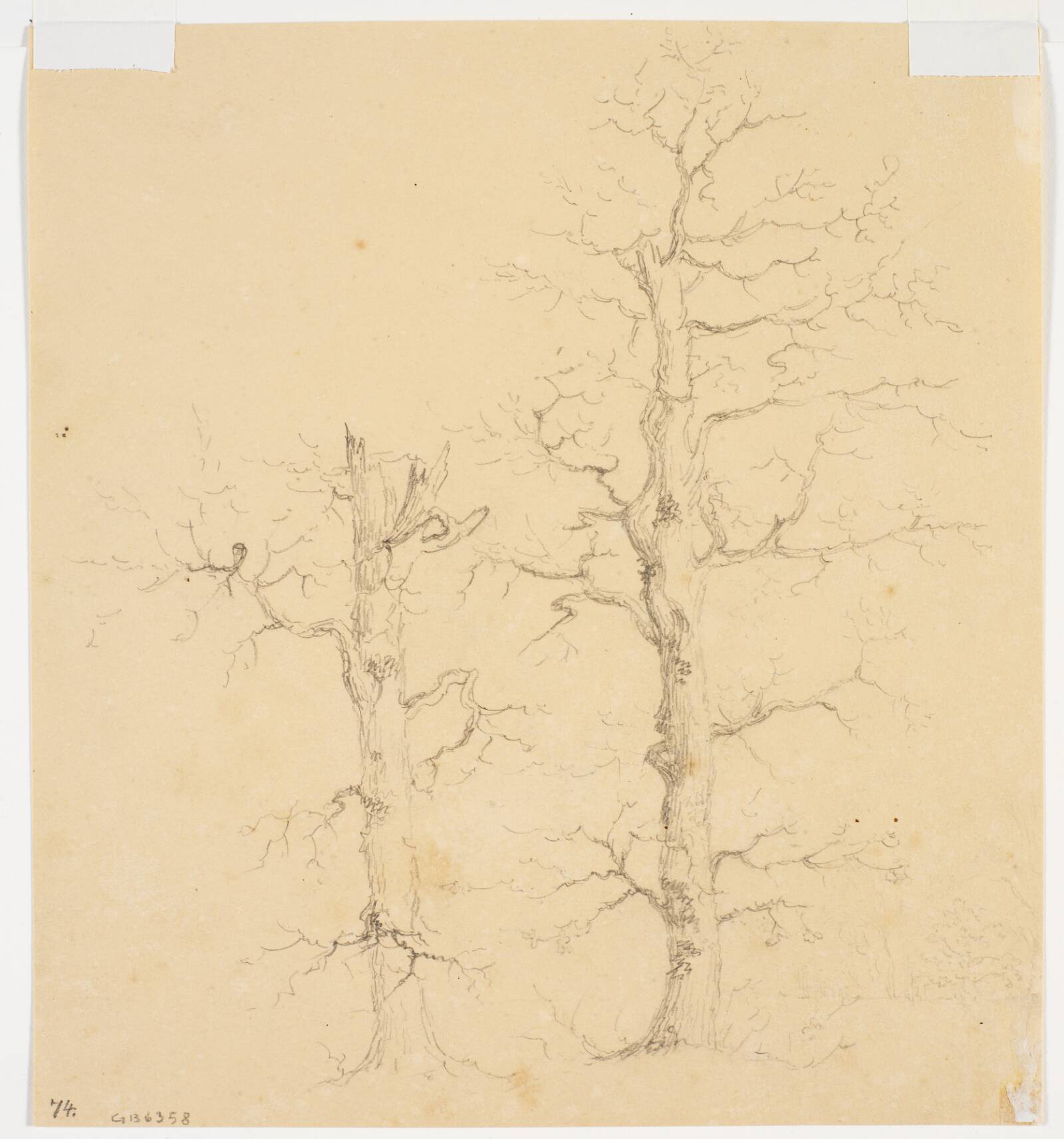 Træstudier, Wilhelm Bendz, 1820-1832