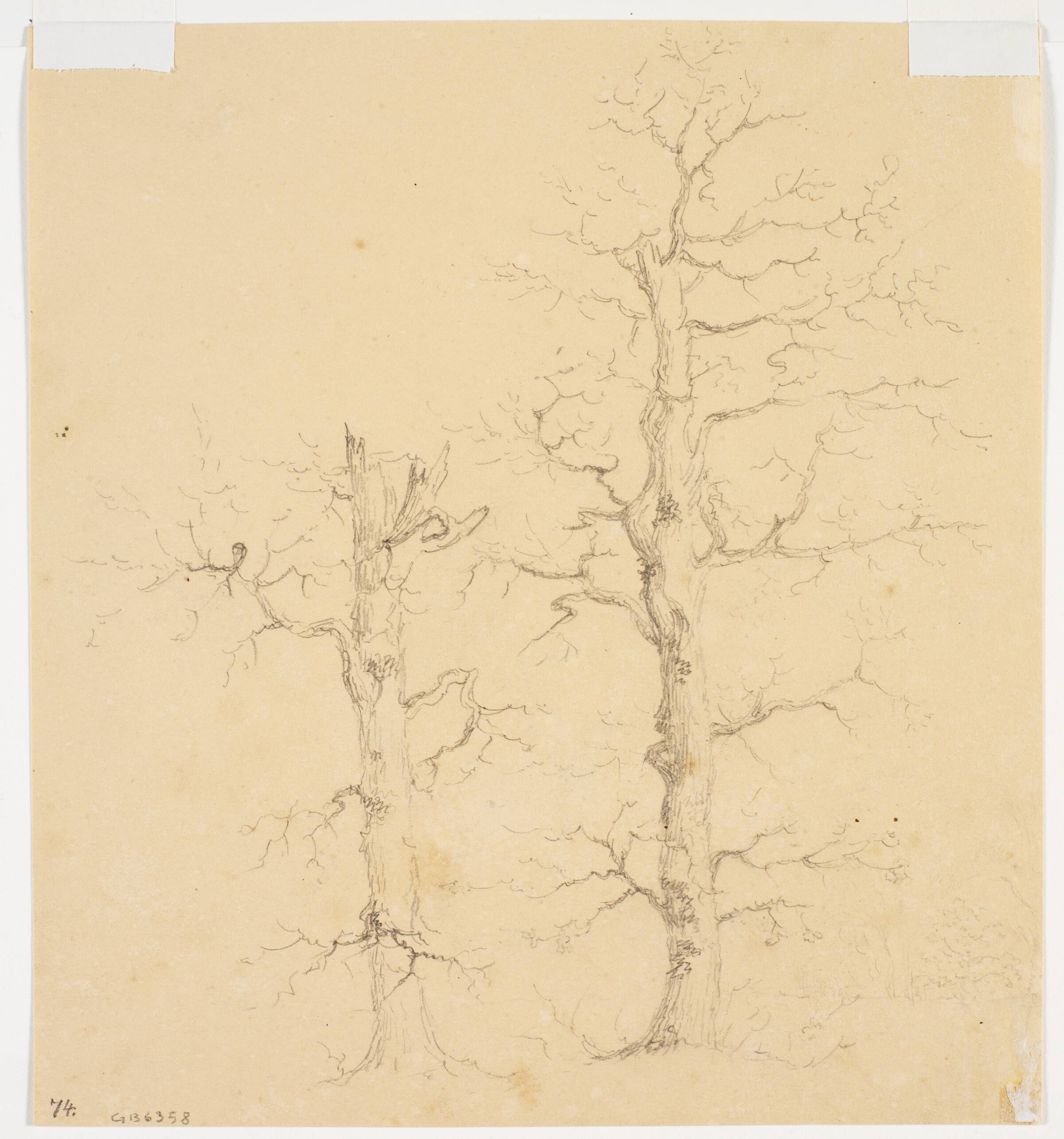 Træstudier, Wilhelm Bendz, 1820-1832