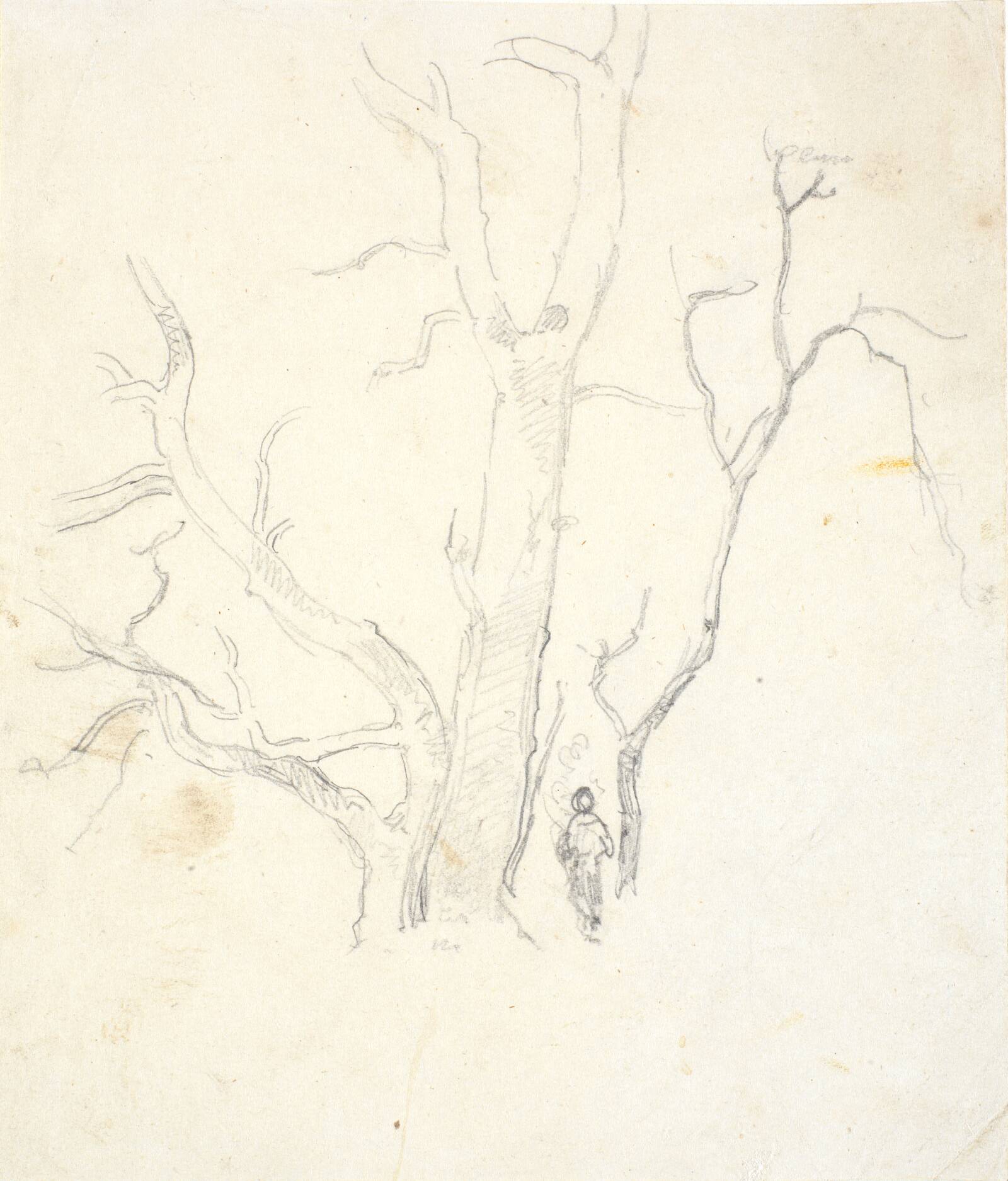 Træstudie, Dankvart Dreyer, 1831-1852