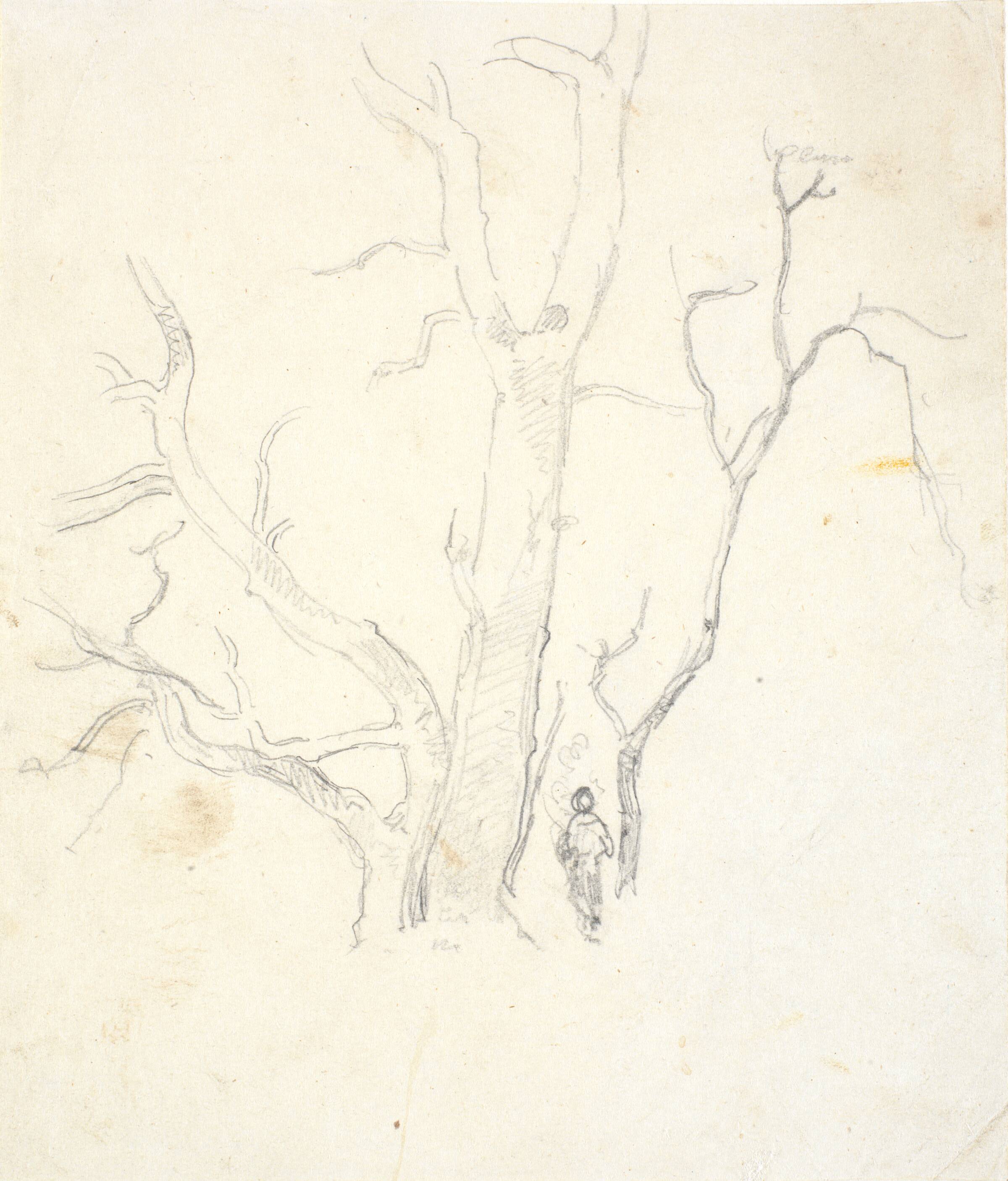 Træstudie, Dankvart Dreyer, 1831-1852