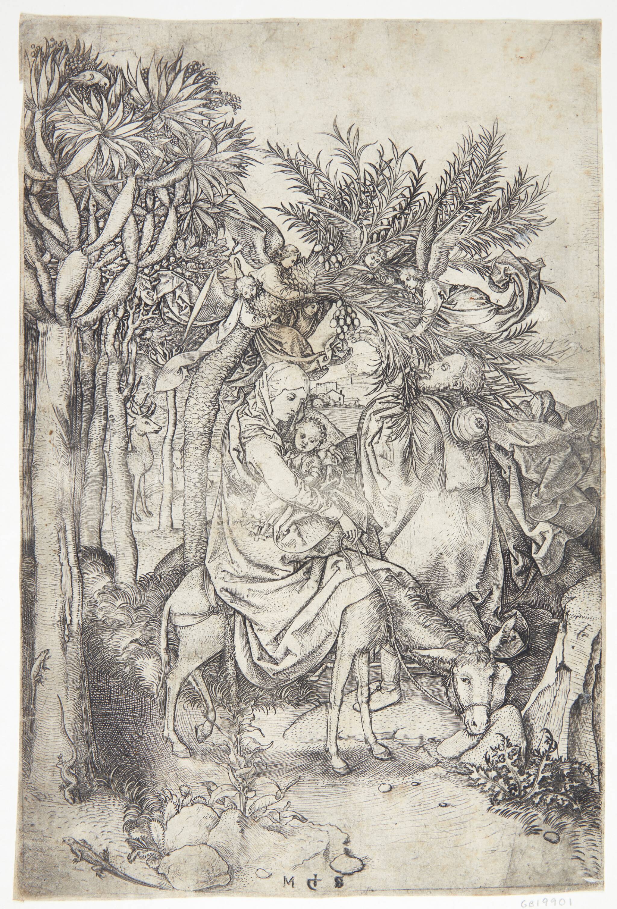 Martin Schongauer