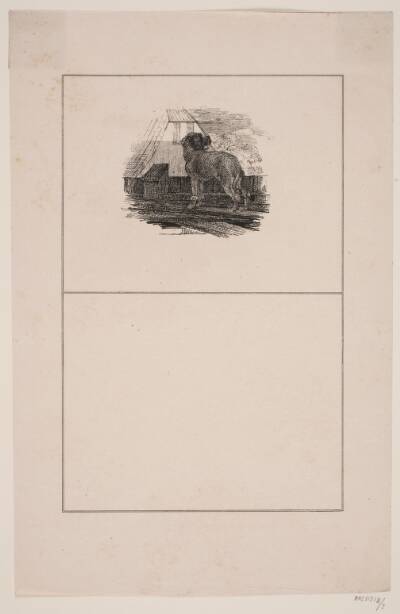 Pudelhunden
