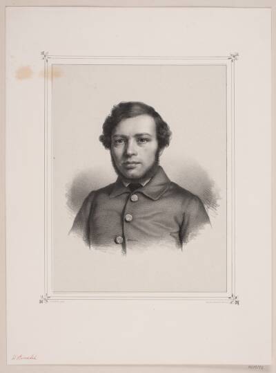 D. Brandis