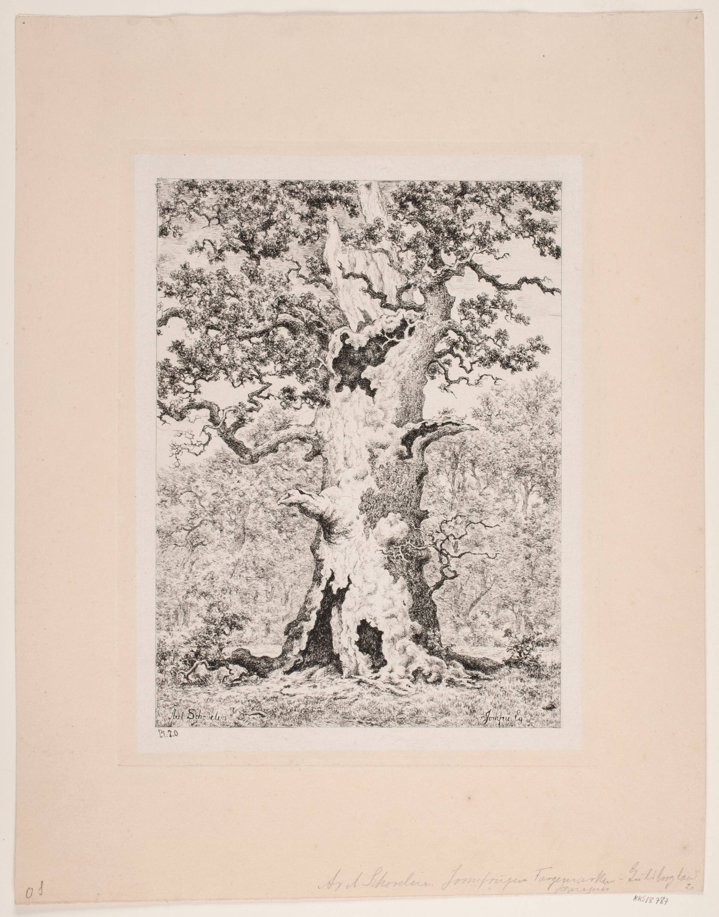 Jomfu egen i færgemarken. Guldborgland, Axel Schovelin, 1891
