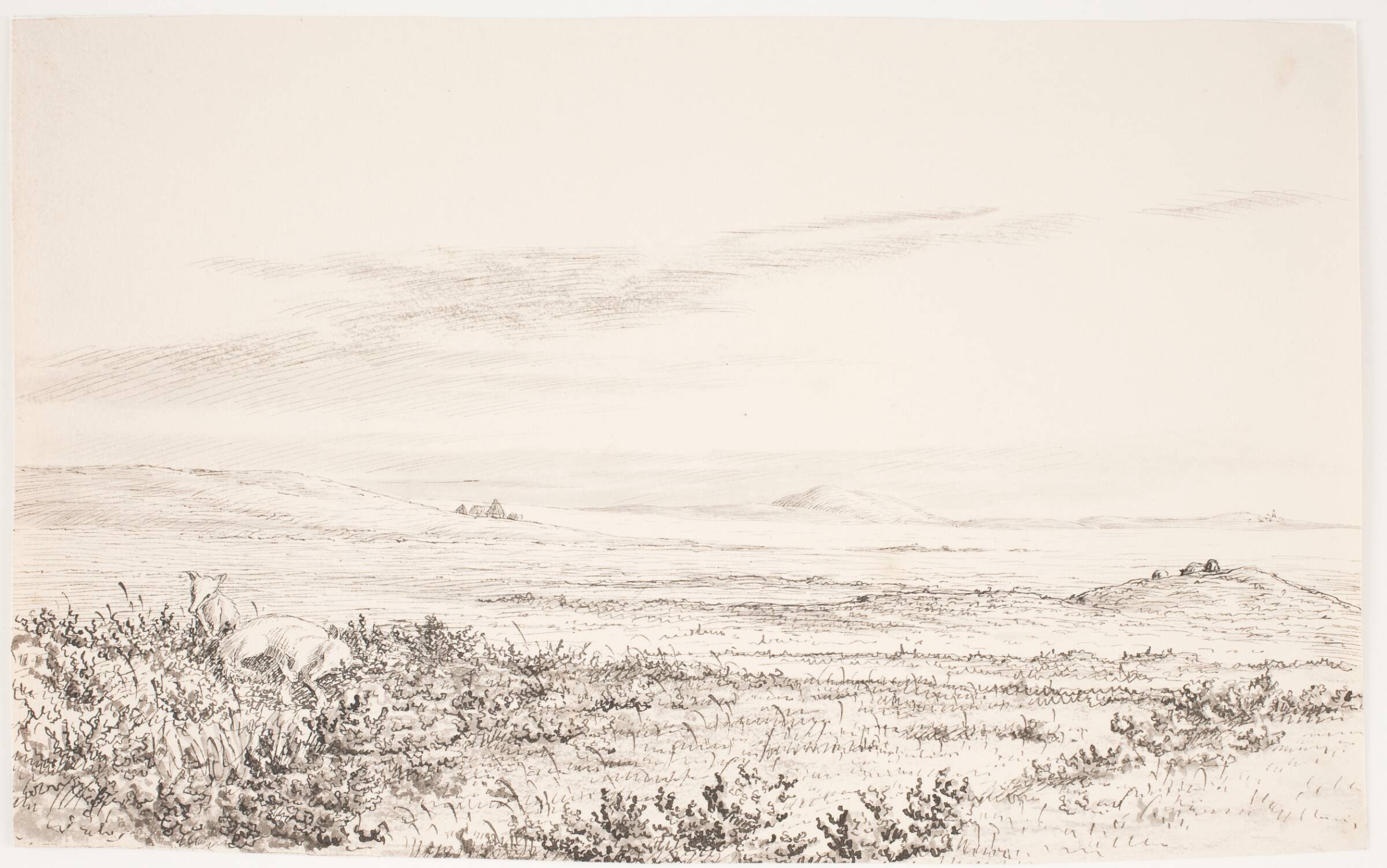 Bakket hedelandskab med to ræve, Eleonora Tscherning, 1817-1890