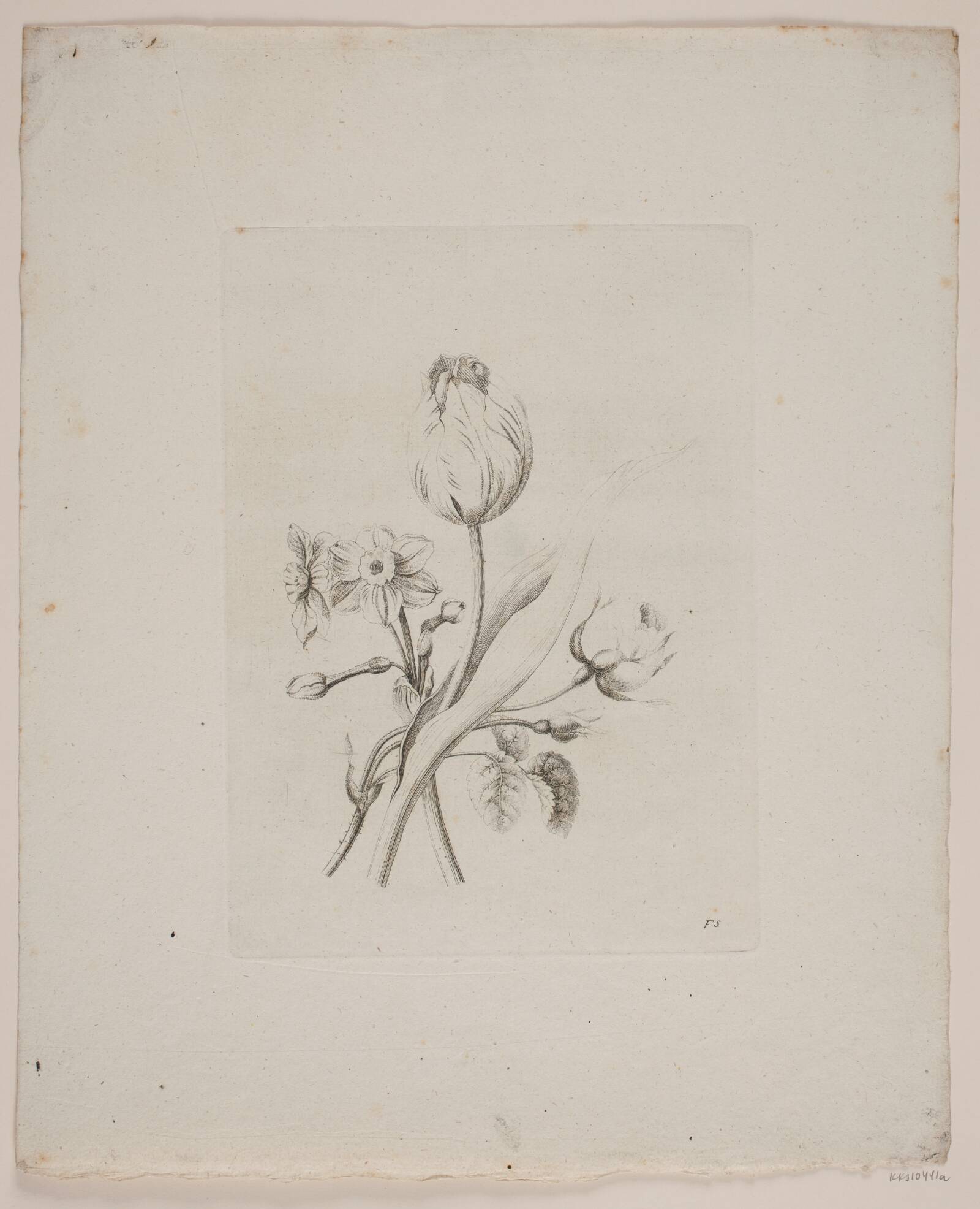 Blomstermotiv, Frederik Schepelern, 1796-1883