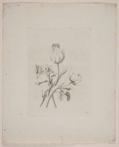 Blomstermotiv