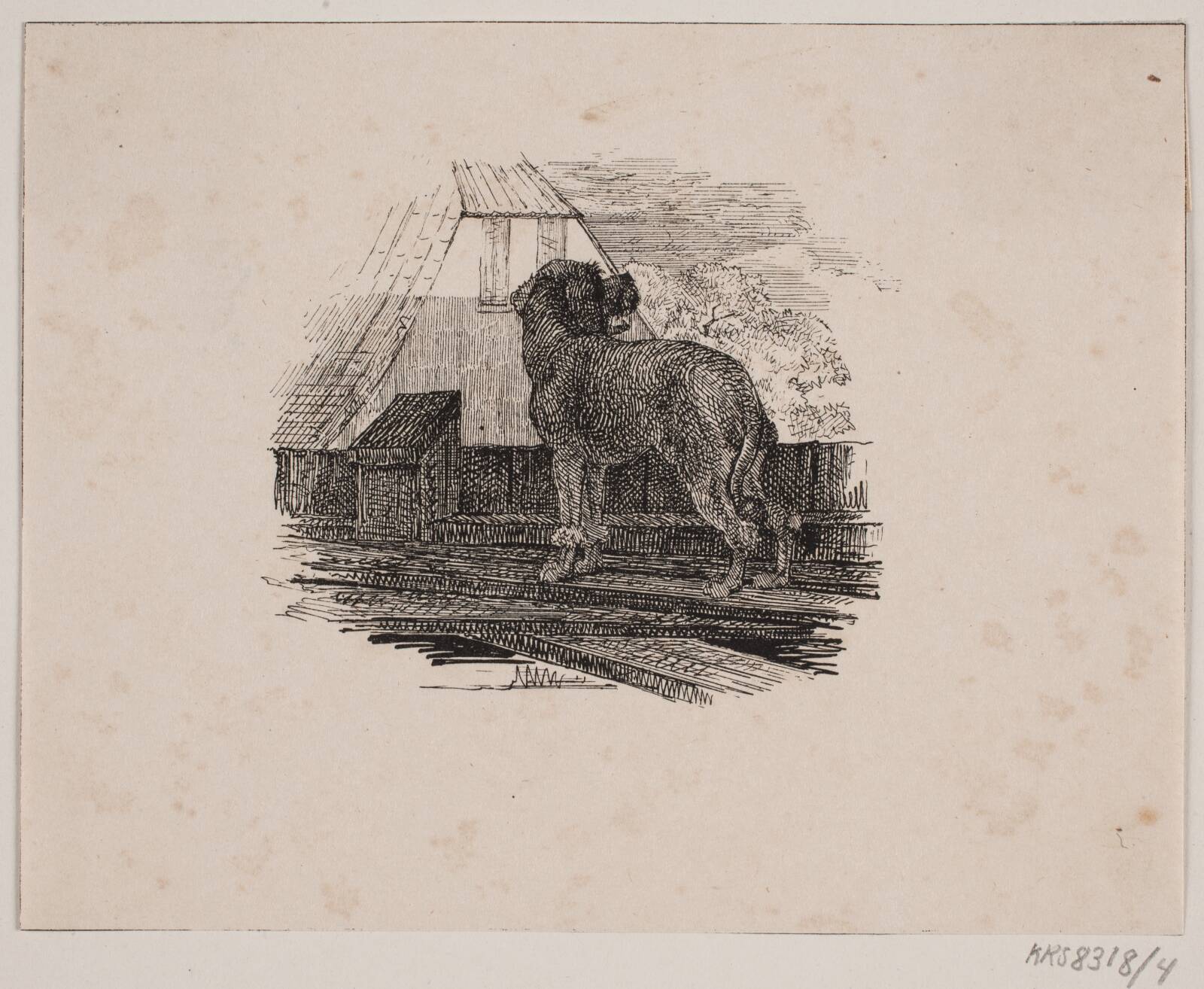 Pudelhunden, Adolph Kittendorff, 1845