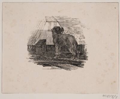 Pudelhunden