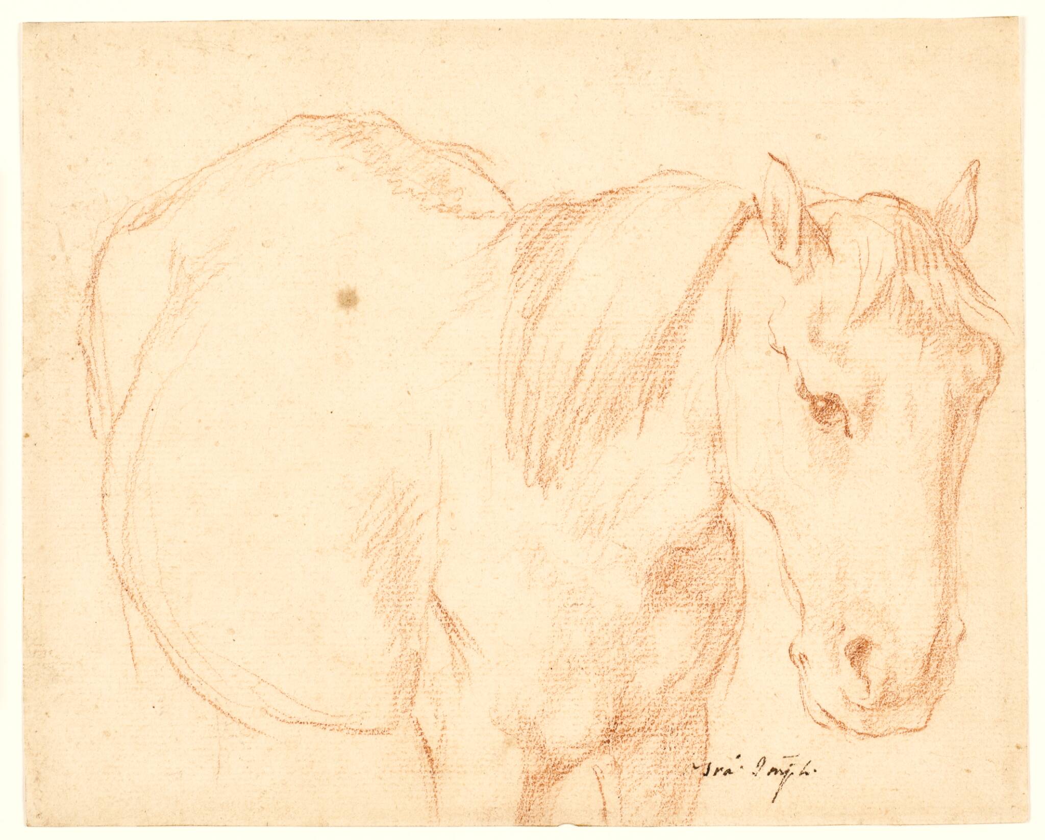 En hest