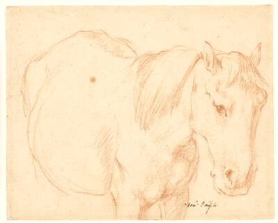 En hest