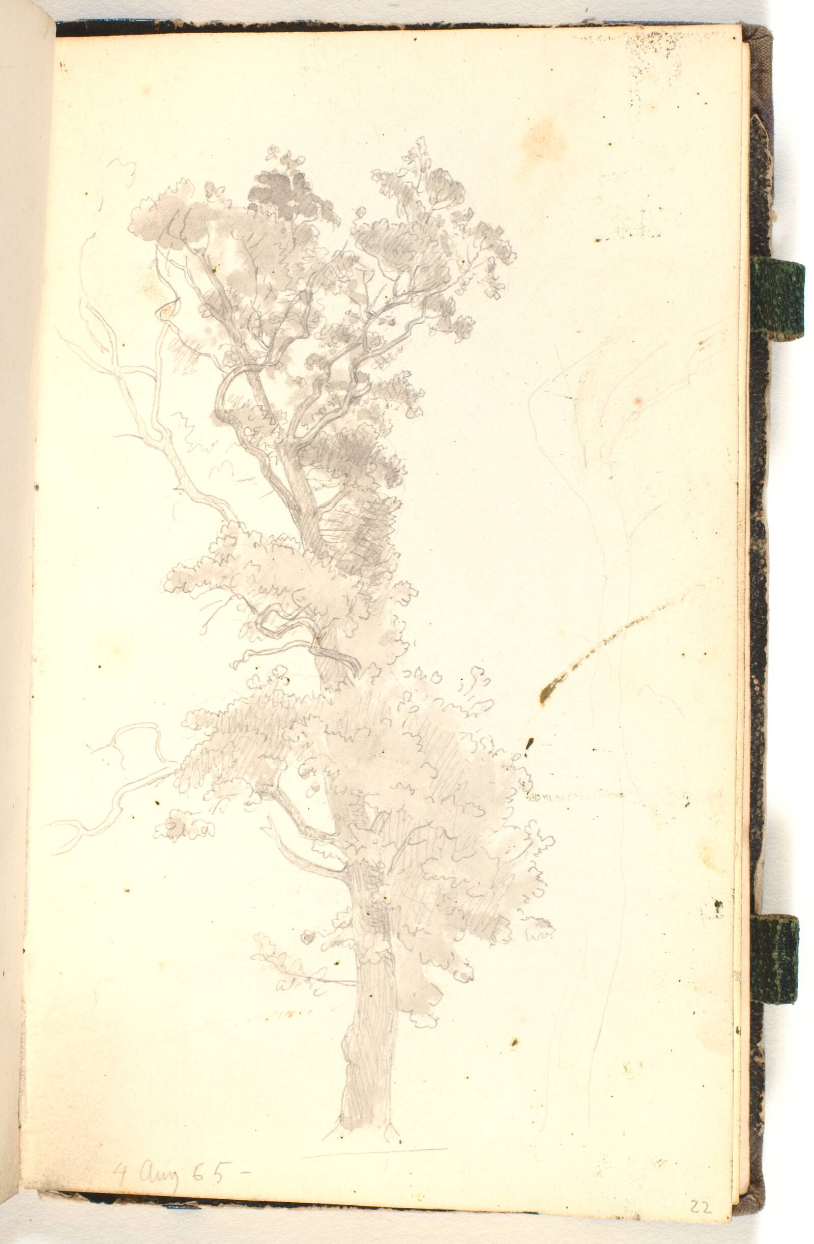 Et stort træ, P.C. Skovgaard, 1865