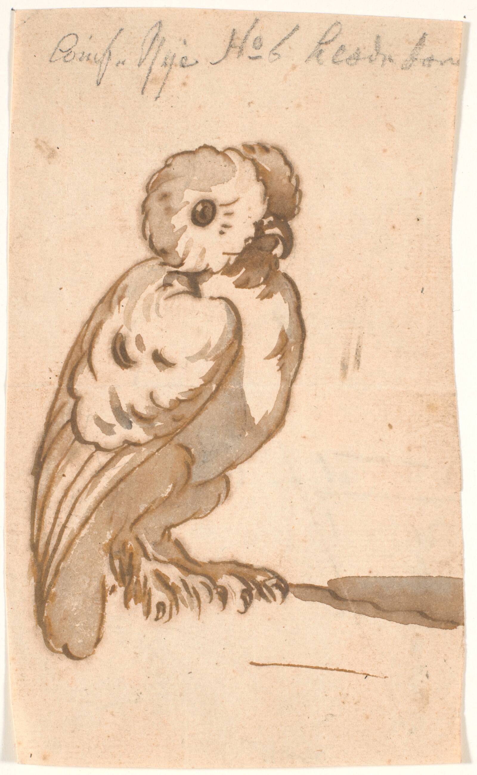 En ugle, Nicolai Abildgaard, 1743-1809
