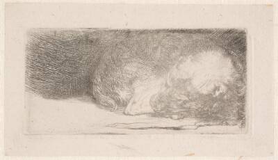 Sovende hundehvalp (lille plade)