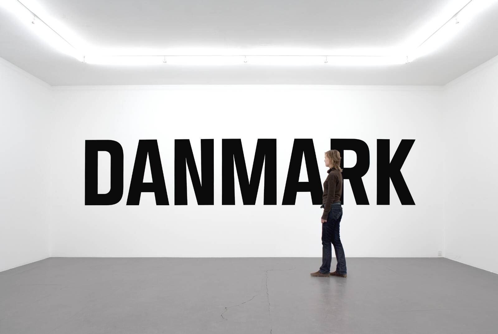 Danmark, Jens Haaning, 2005