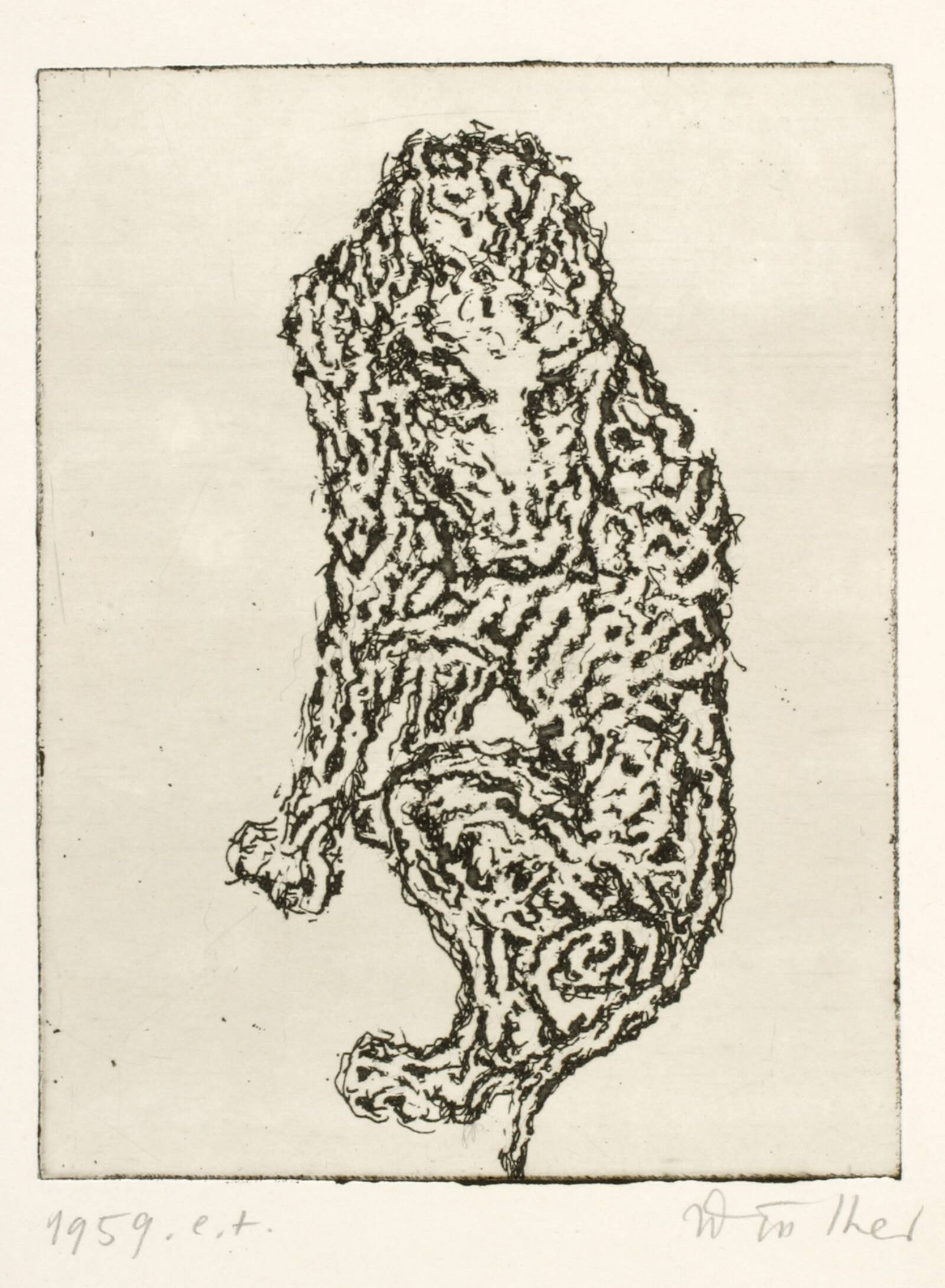 Puddel-hvalp, Richard Winther, 1959